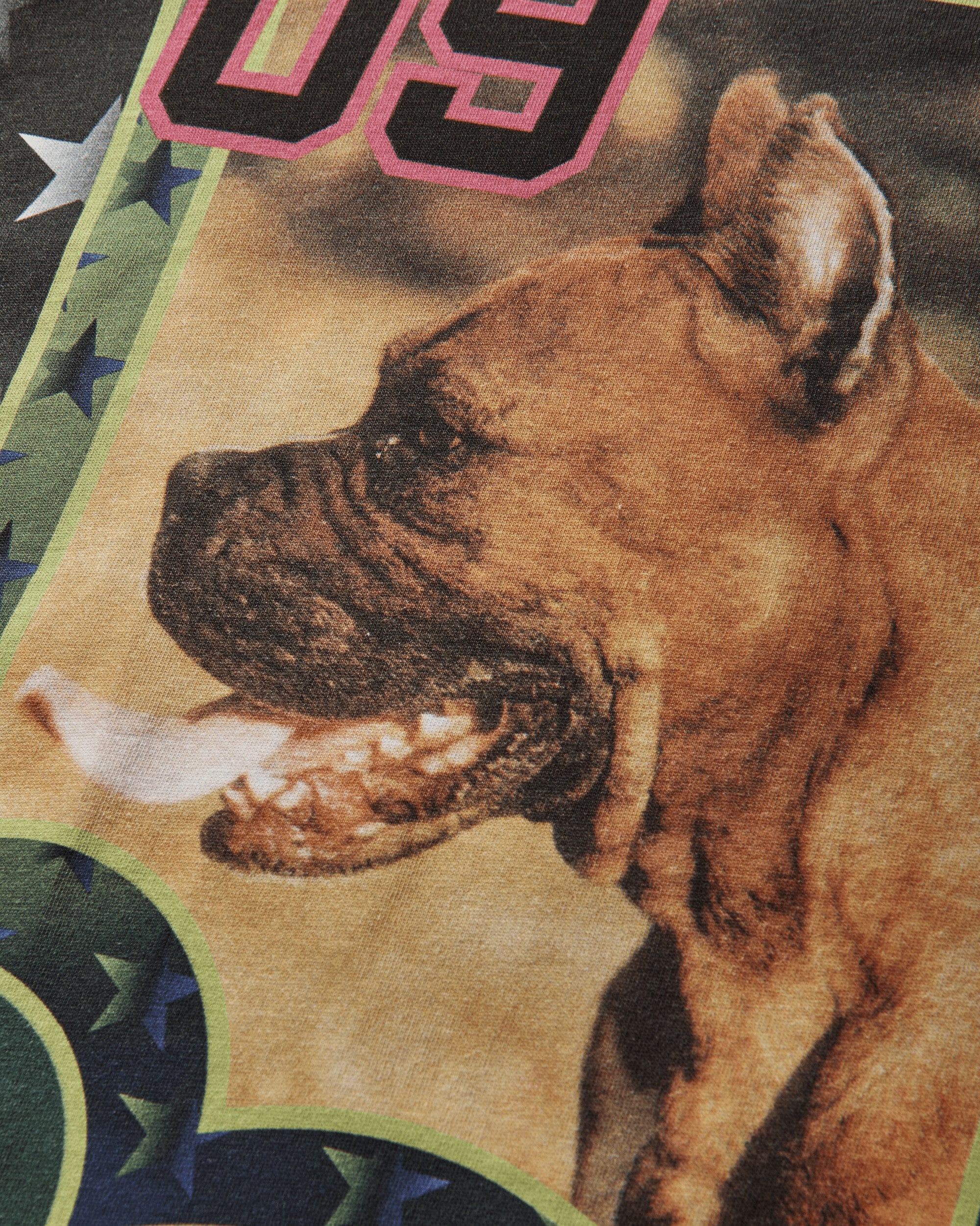 Women's Deptford Dogs Fitted Jersey Top Multicolor - Image 3