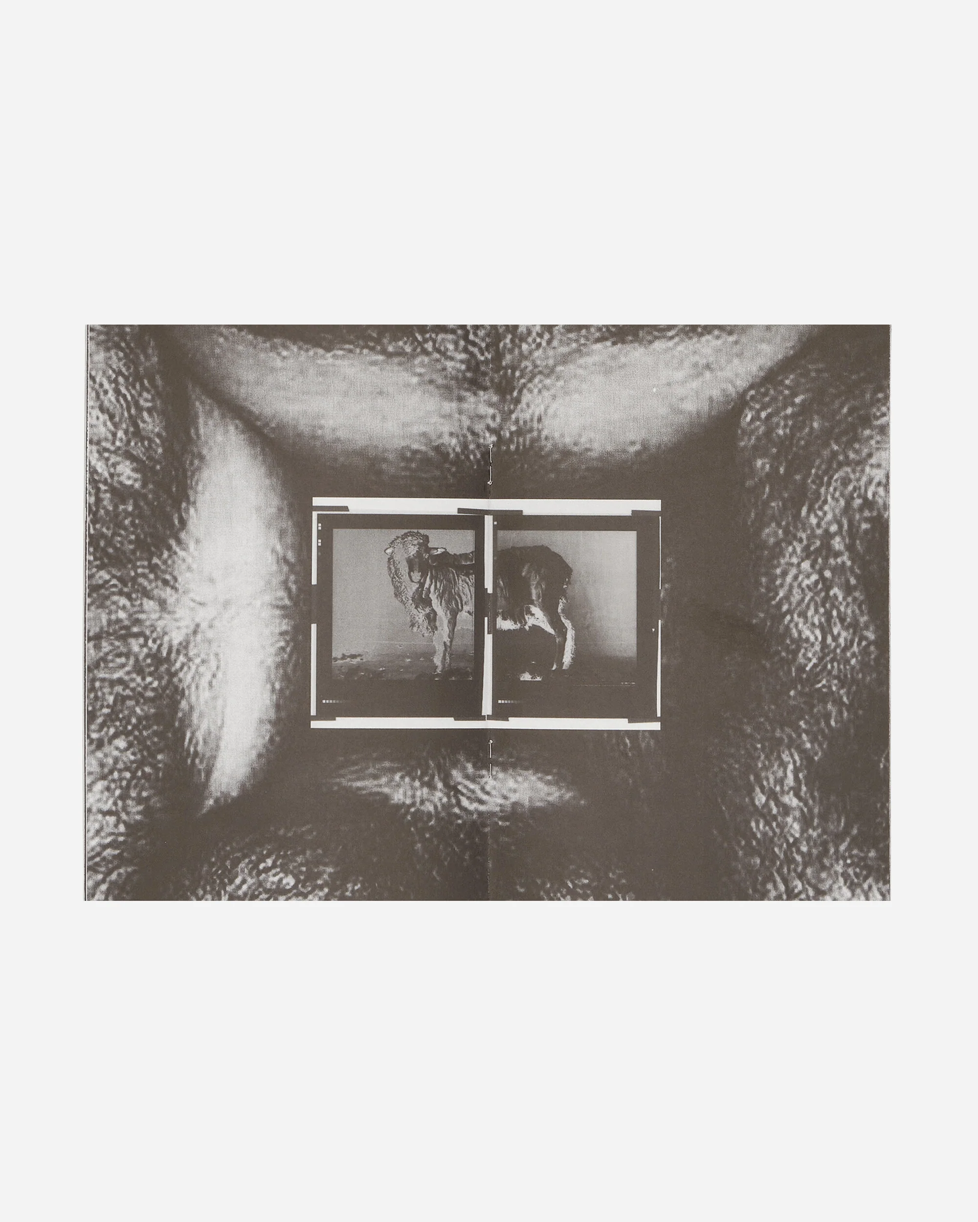 Helmut Lang: Burry Zine - Image 2