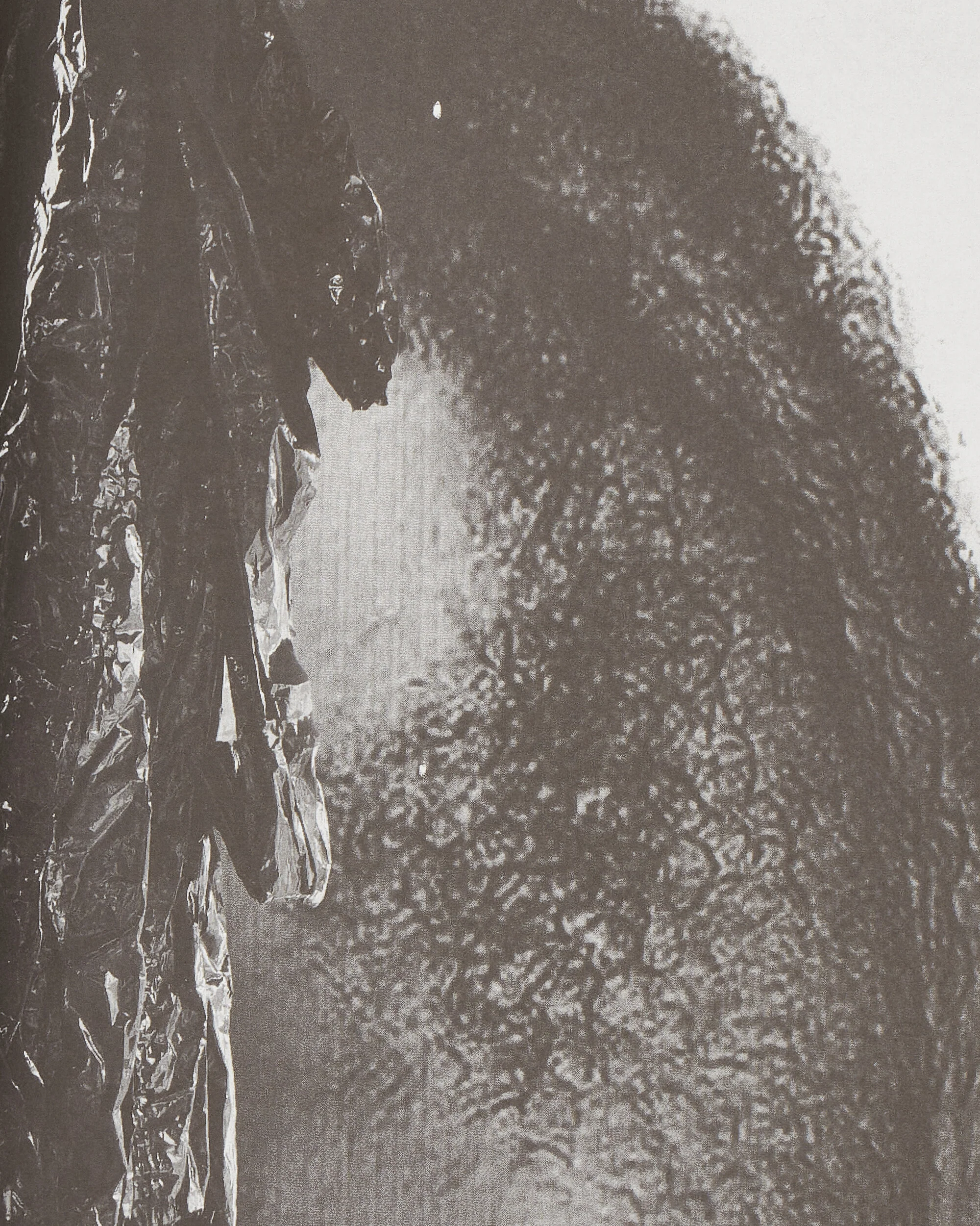 Helmut Lang: Burry Zine - Image 6