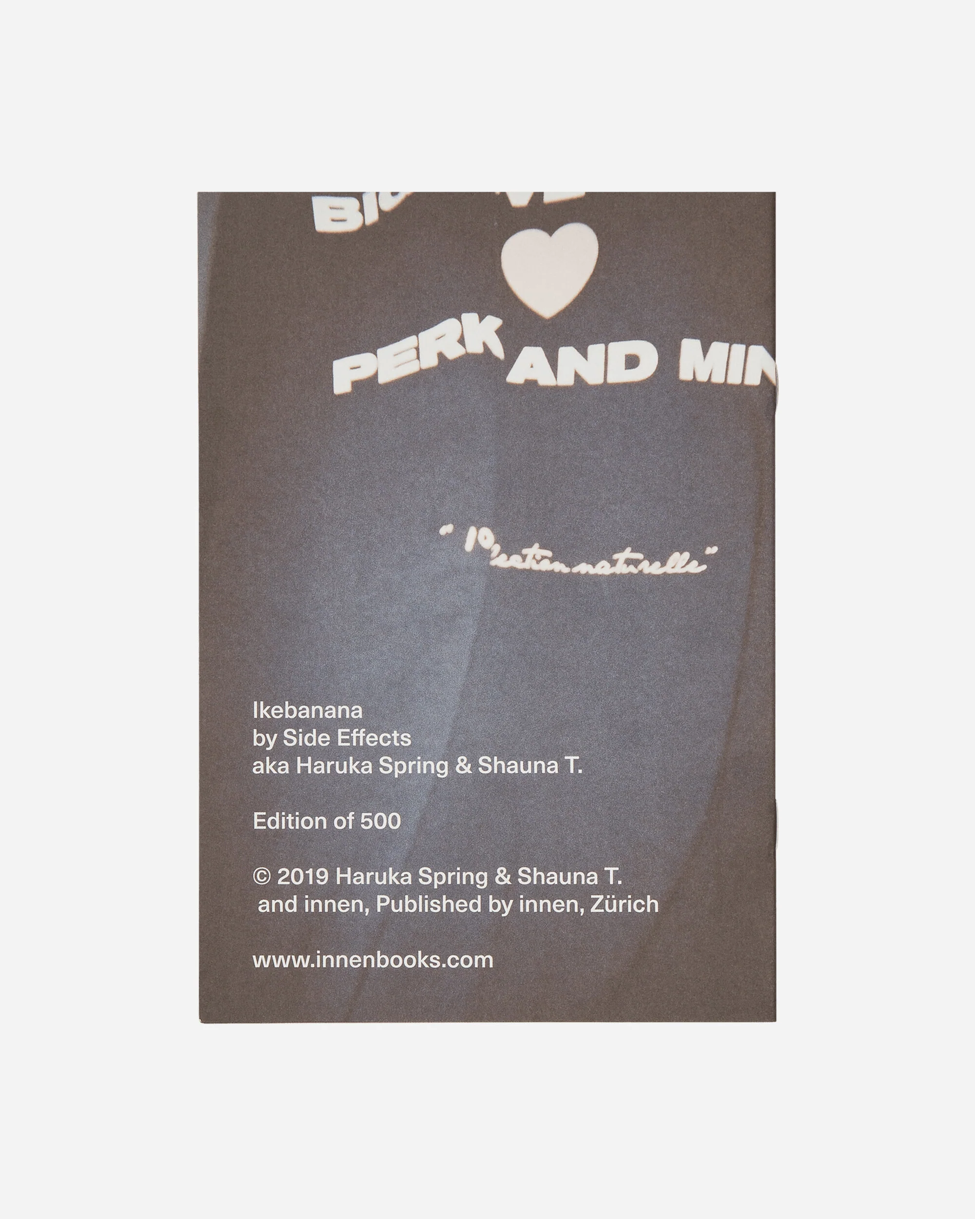 Ikebana By Side Effects Zine - Image 4