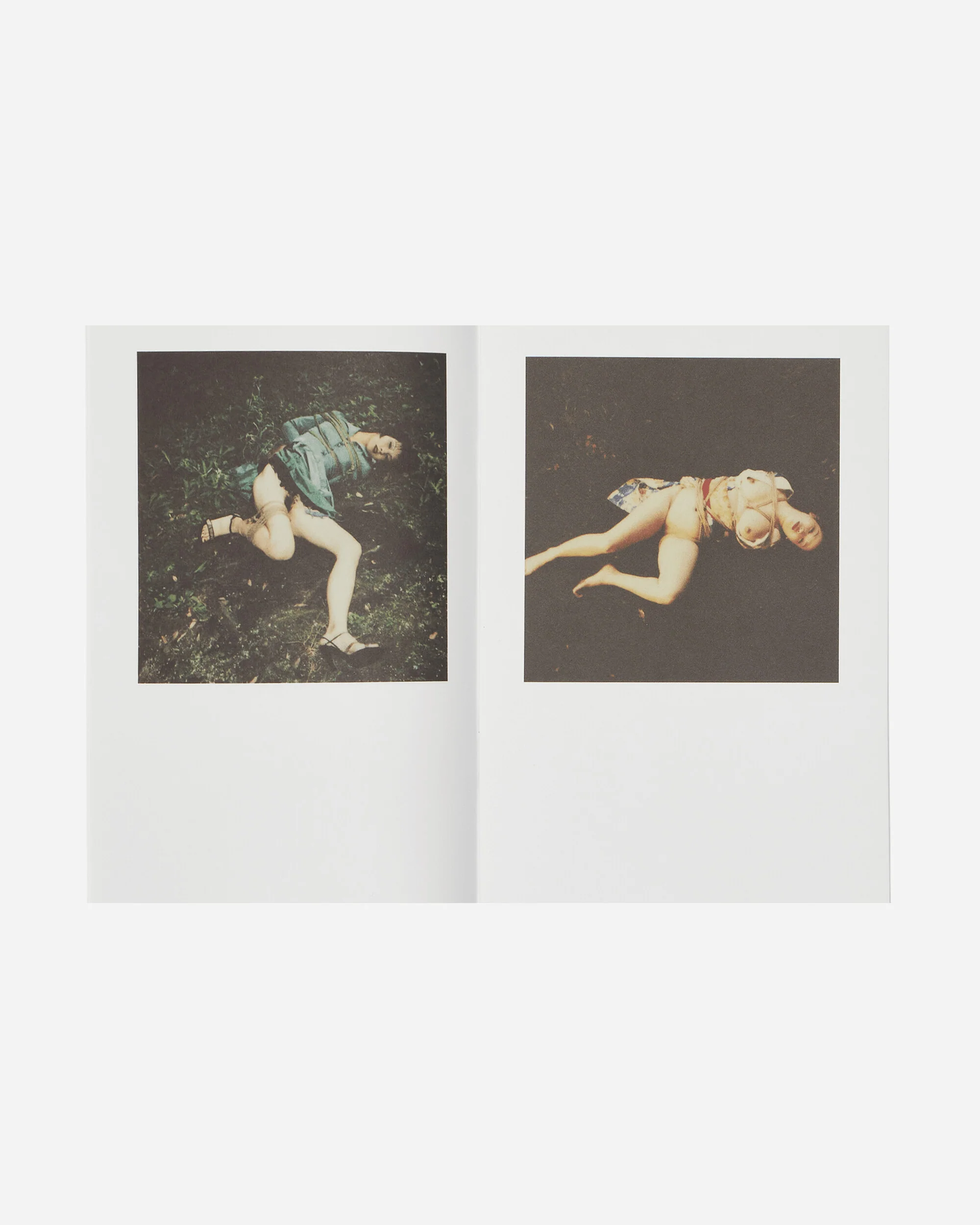 Nobuyoshi Araki: Polanography Zine - Image 2