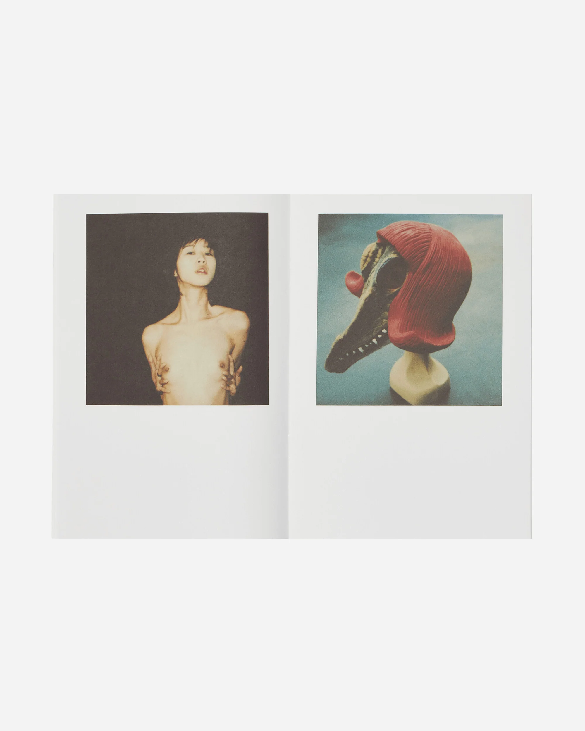 Nobuyoshi Araki: Polanography Zine - Image 3