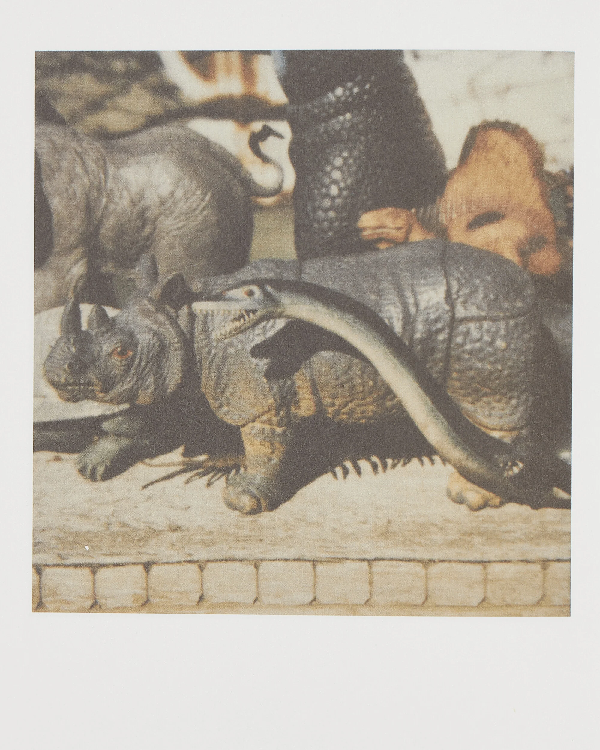 Nobuyoshi Araki: Polanography Zine - Image 5