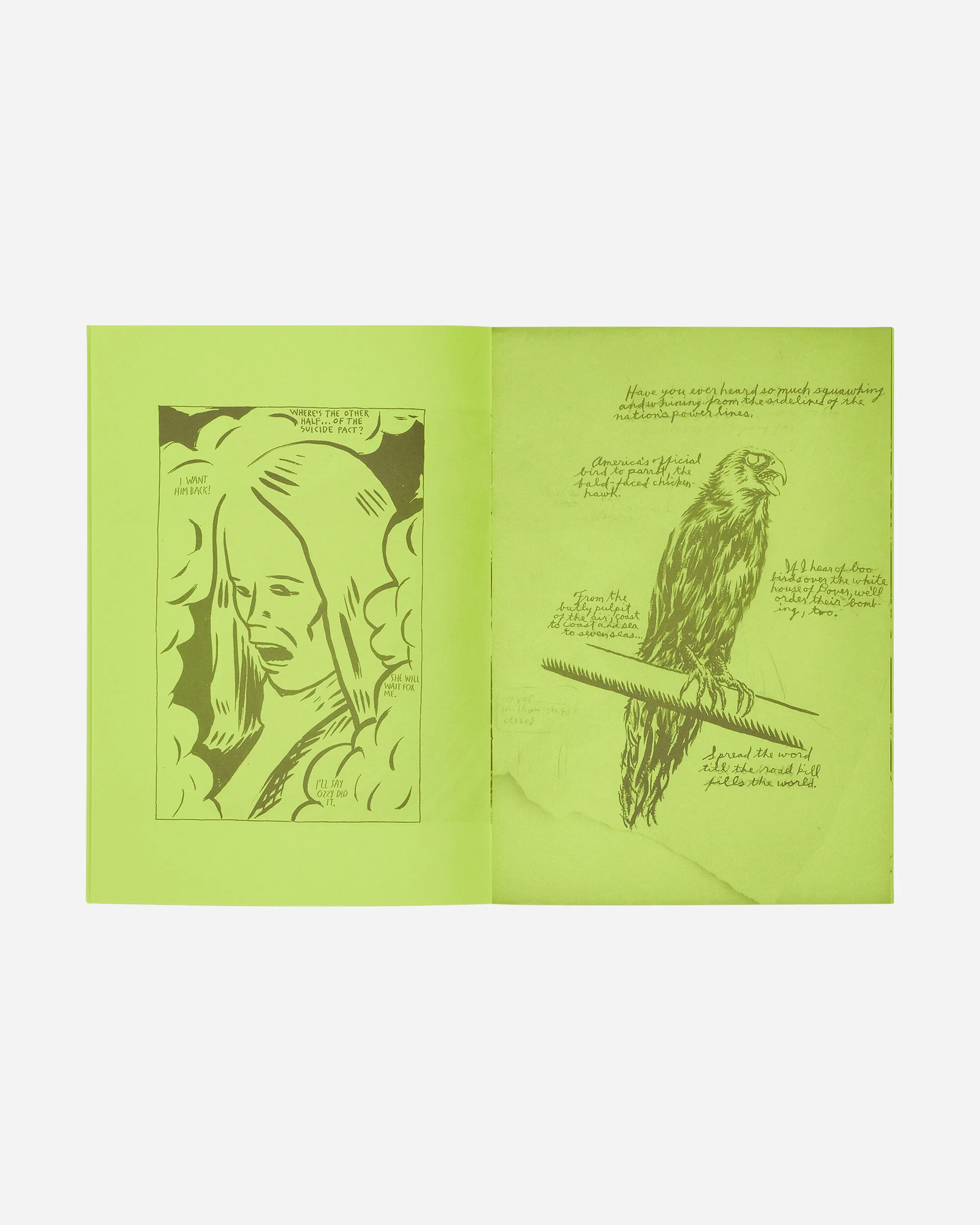 Raymond Pettibon: Selected Works From 1982 To 2011 Zine - Image 3