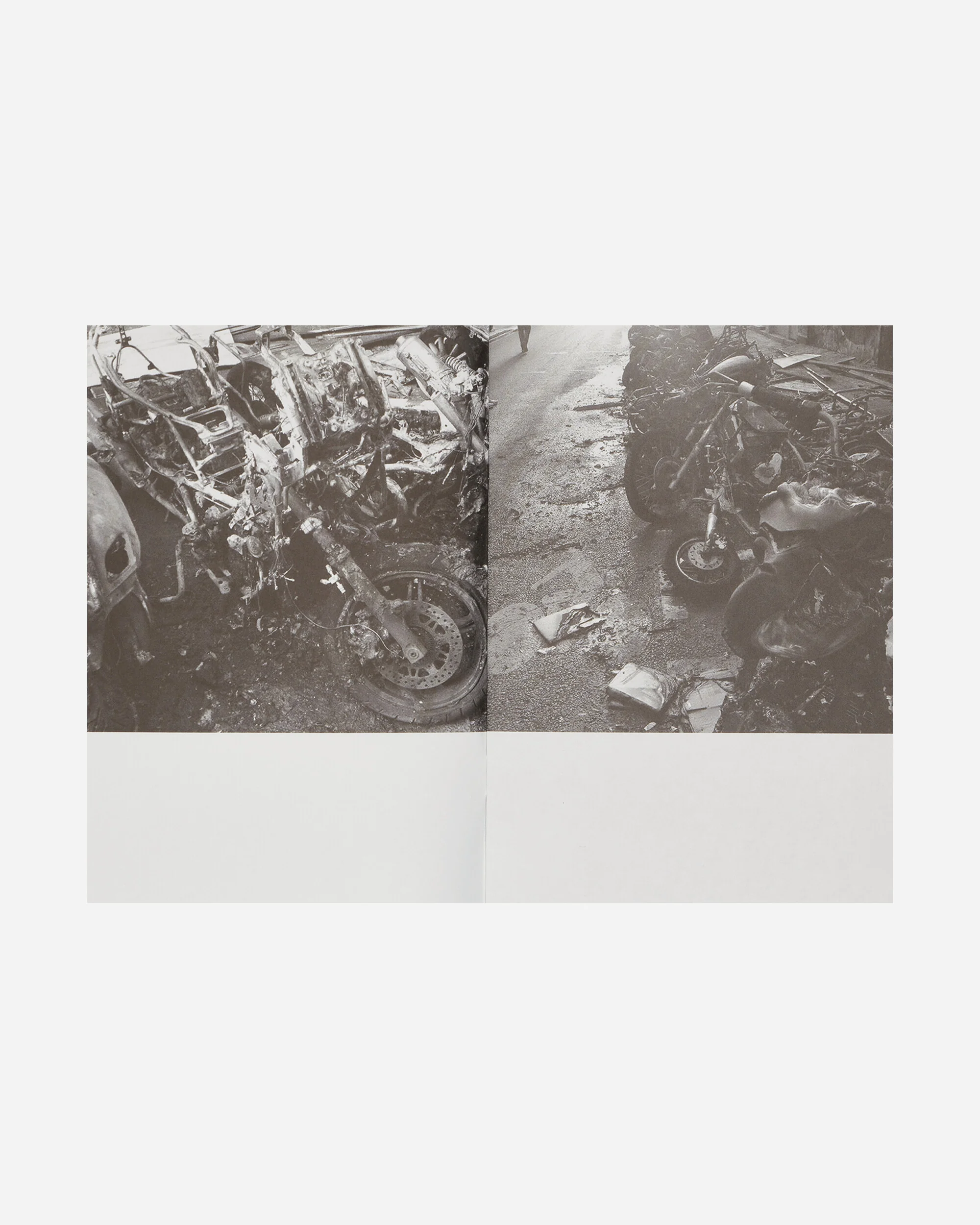 Ron Morelli: Animal Parts: Decaying World Photos 2009-2018 Zine - Image 2