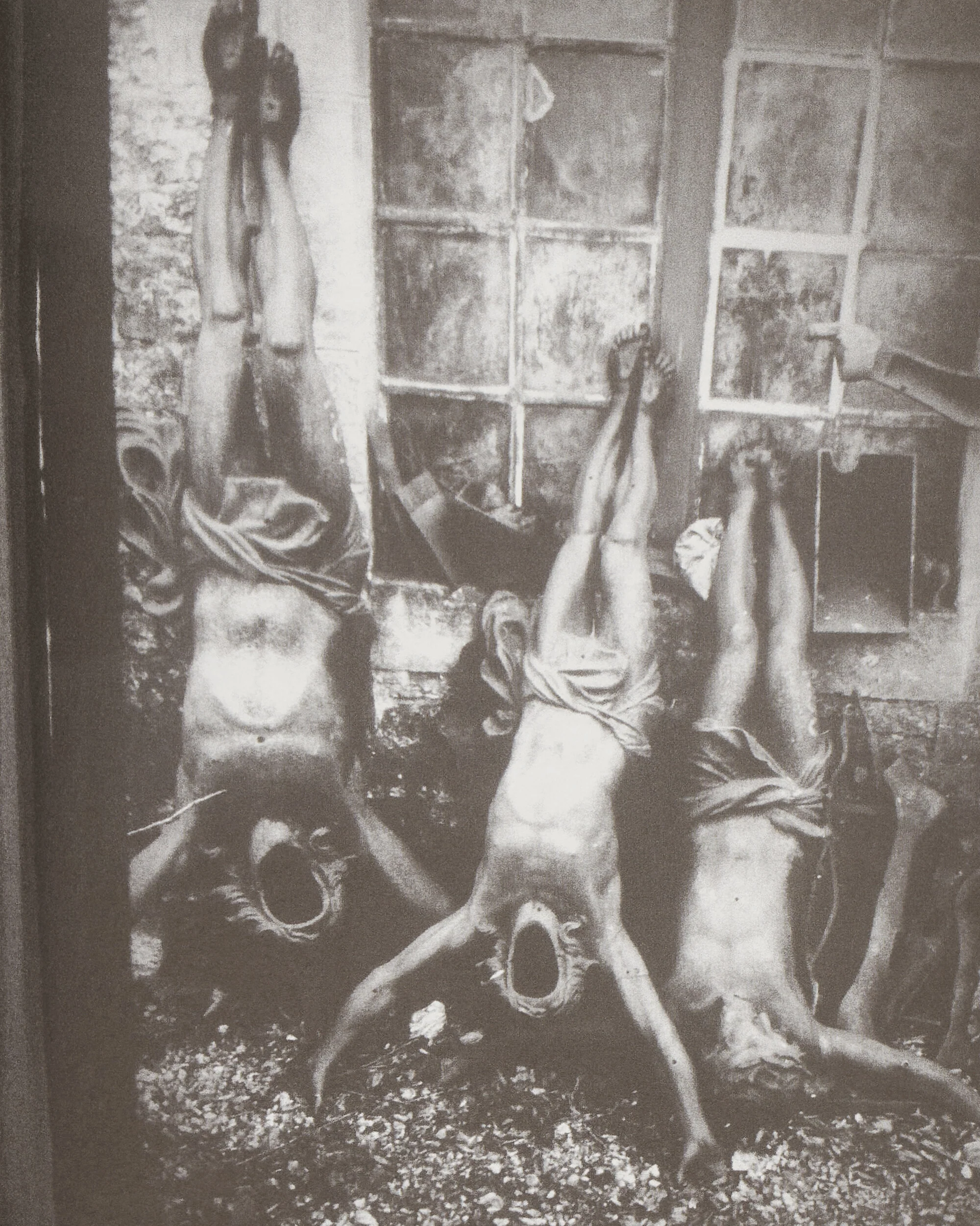 Ron Morelli: Animal Parts: Decaying World Photos 2009-2018 Zine - Image 6