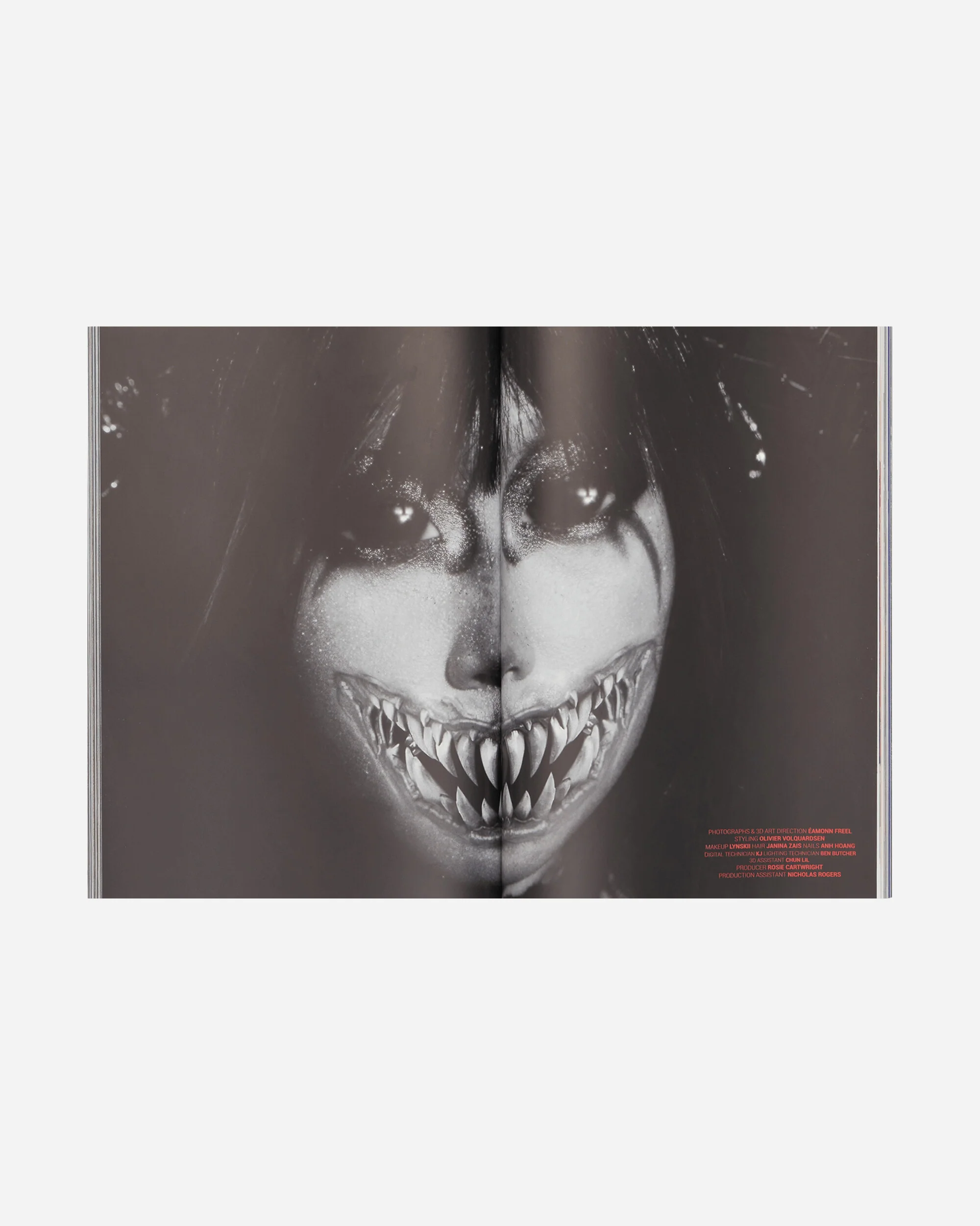 Issue 14 / Nik Kosmas - Image 2