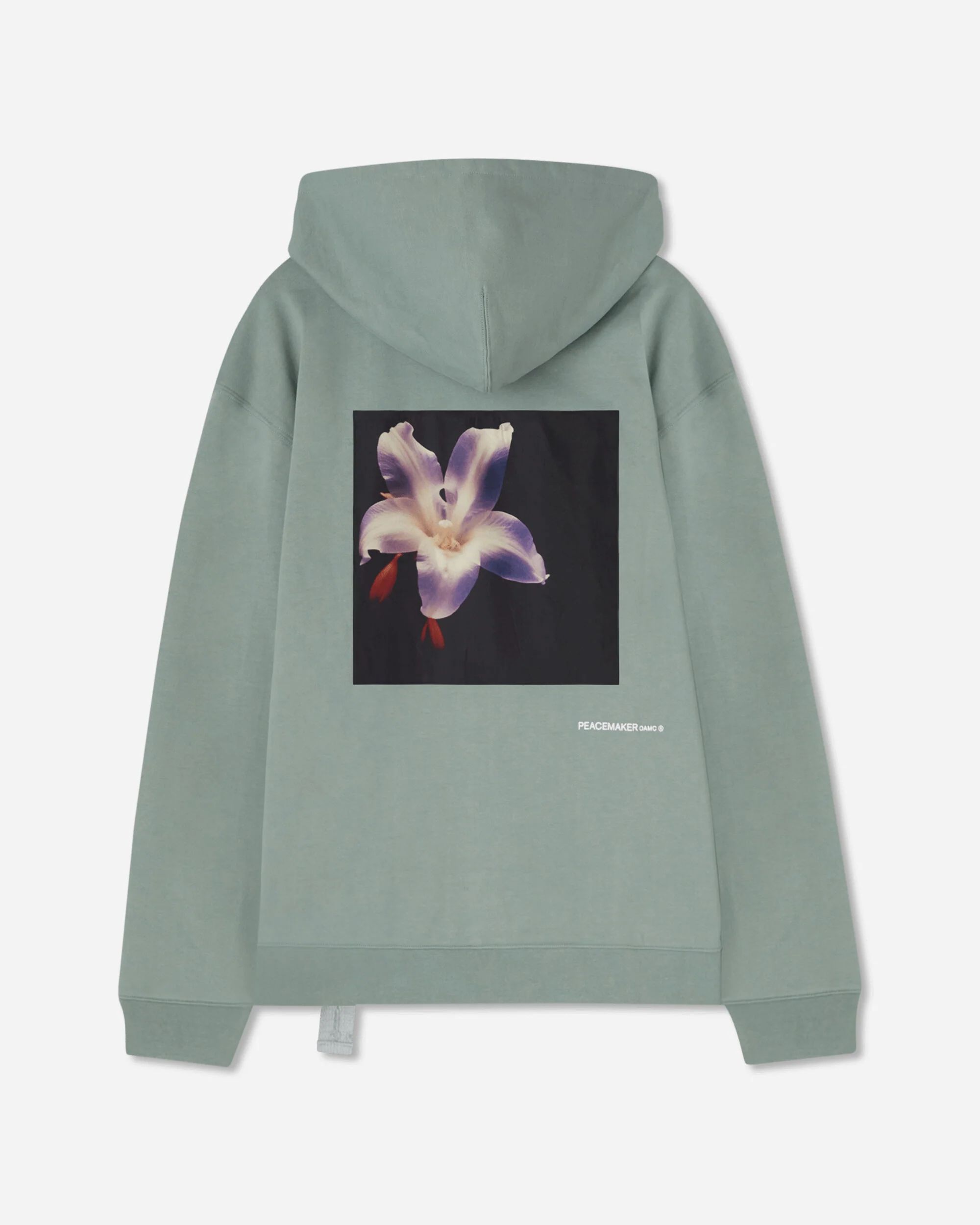 Men's Flower Loose Fit Hoodie Sage Green - Image 2