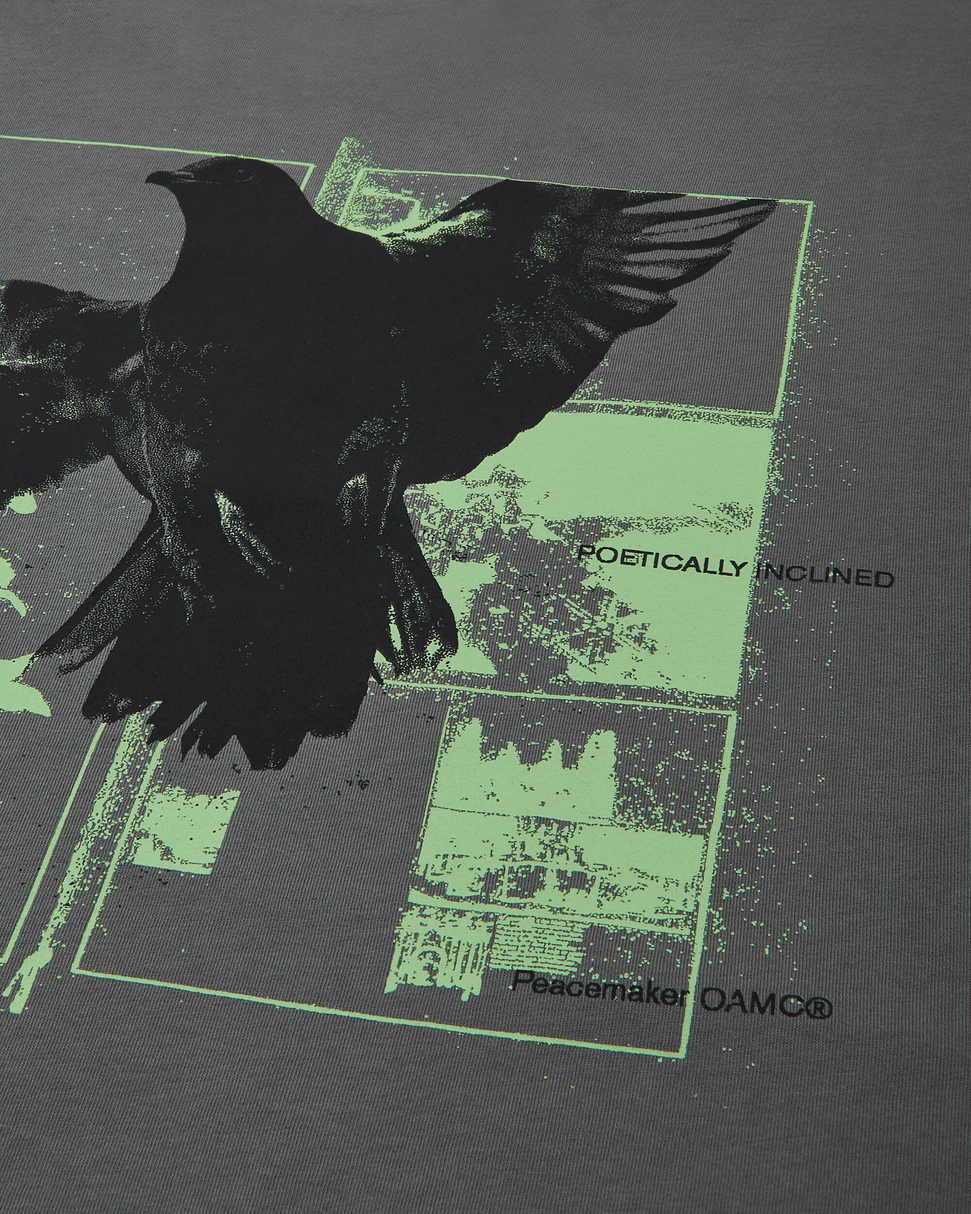Men's Birds Print Regular Fit T-Shirt Grey - Image 3