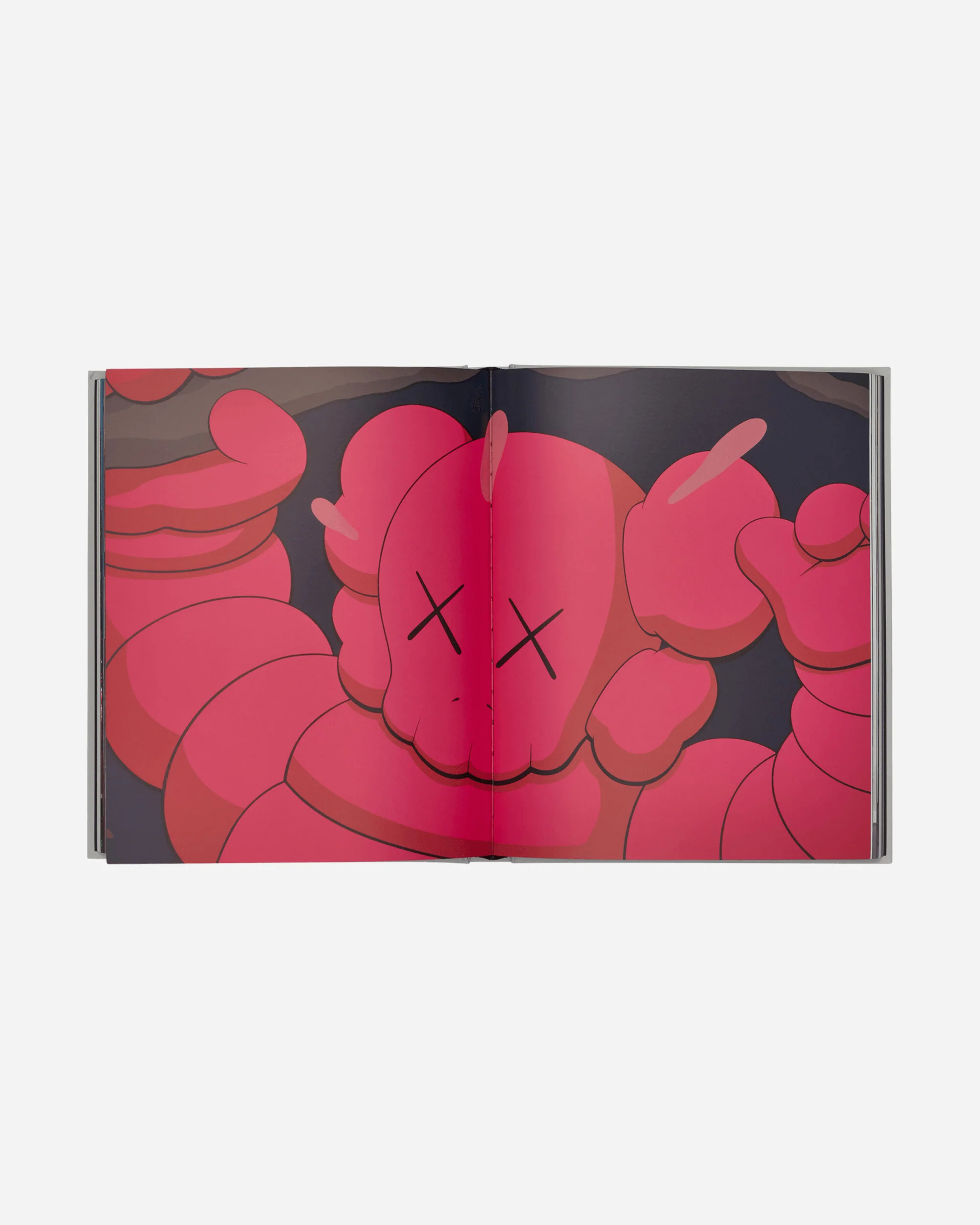 KAWS: New Fiction Book - Image 2