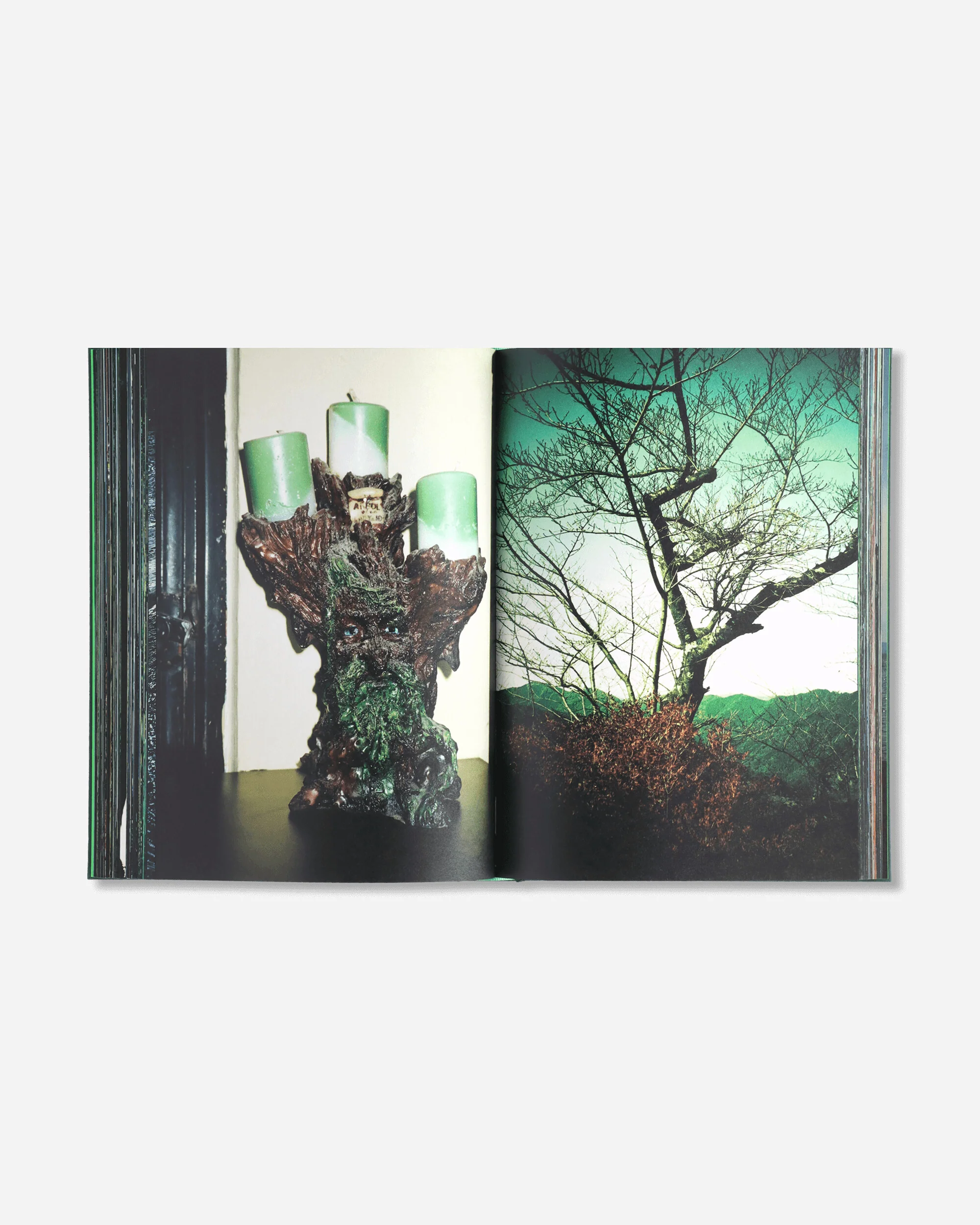 Misha Hollenbach Book / B - Image 3