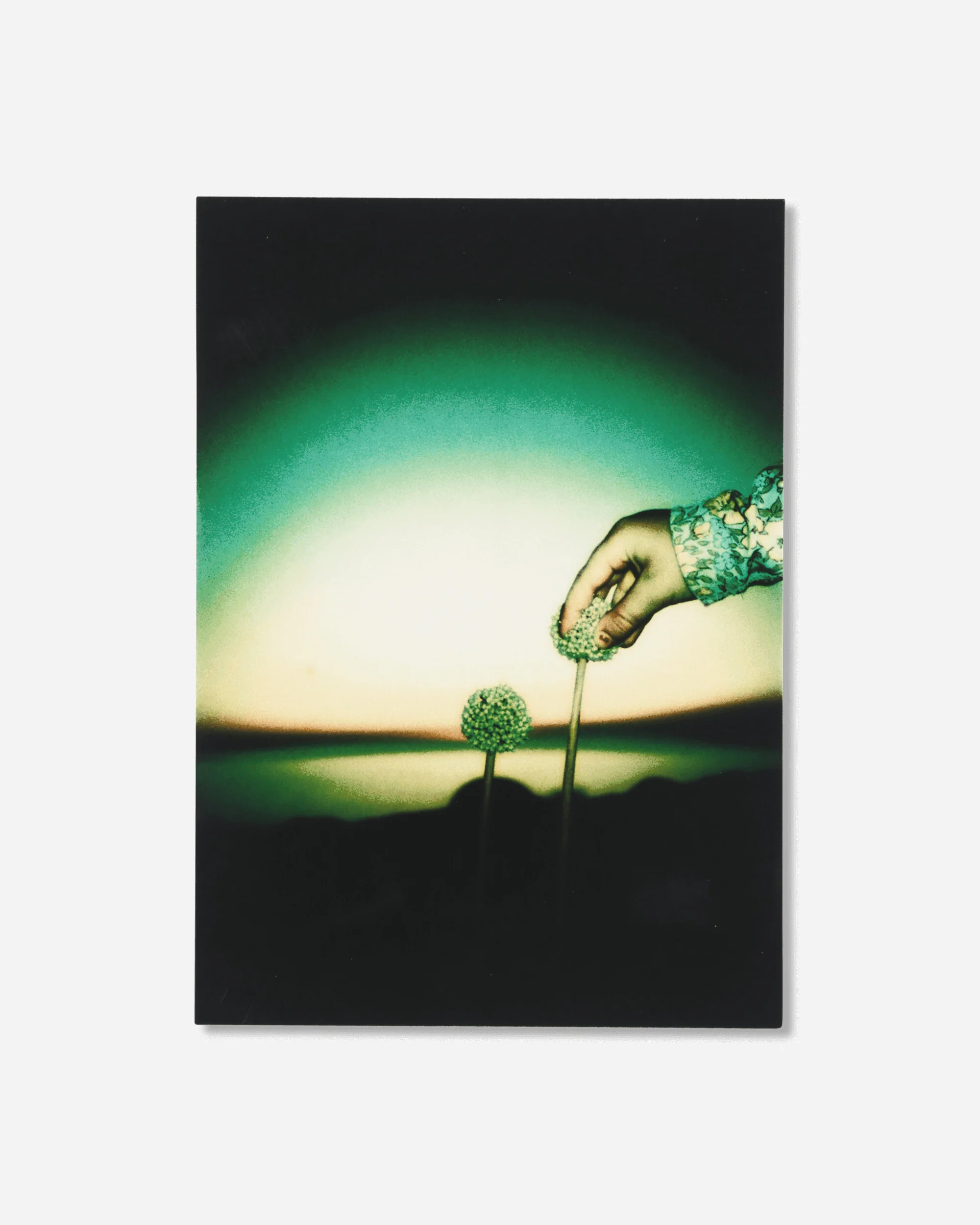 Misha Hollenbach Book / B - Image 5