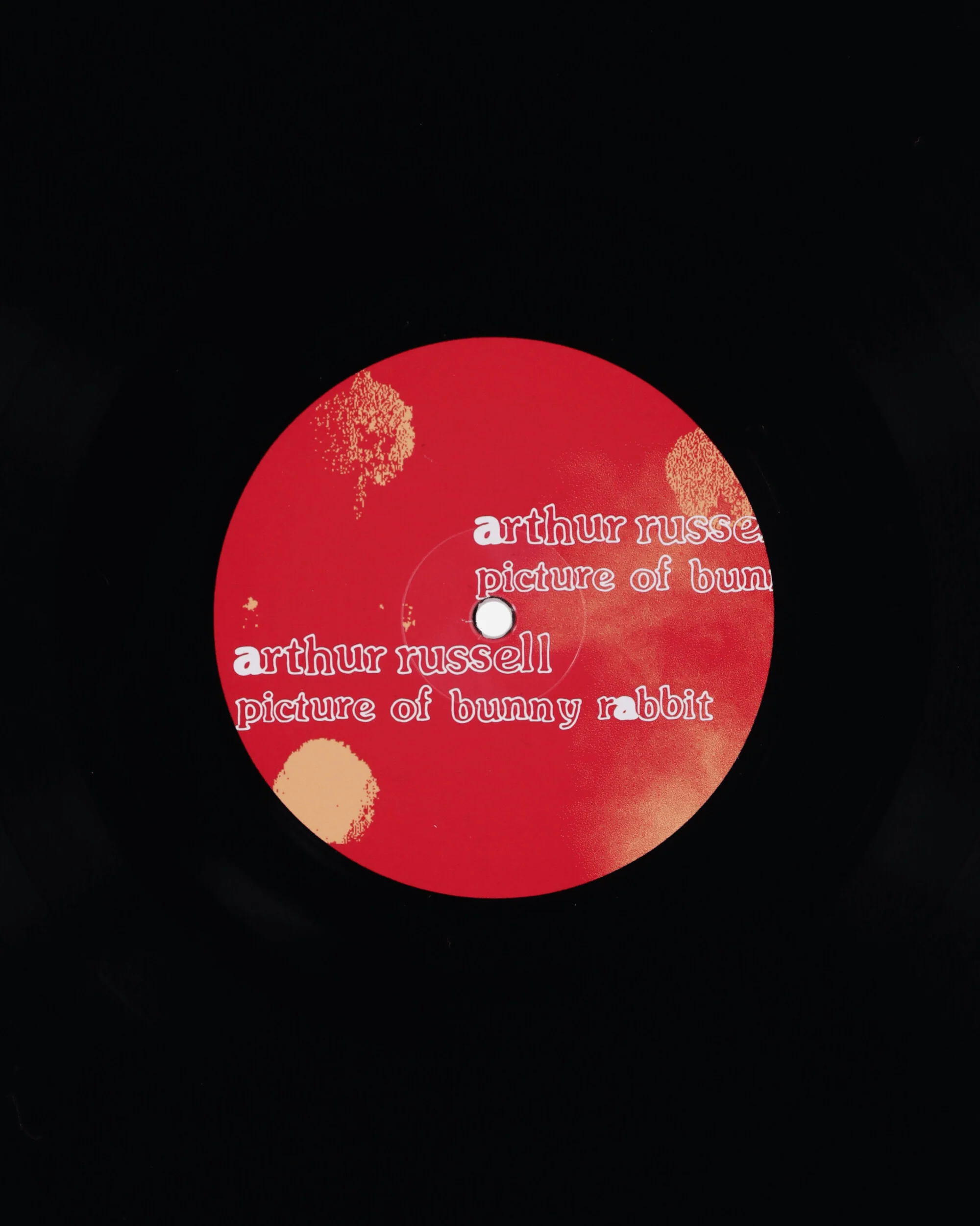 Picture Of Bunny Rabbit Vinyl - Image 6