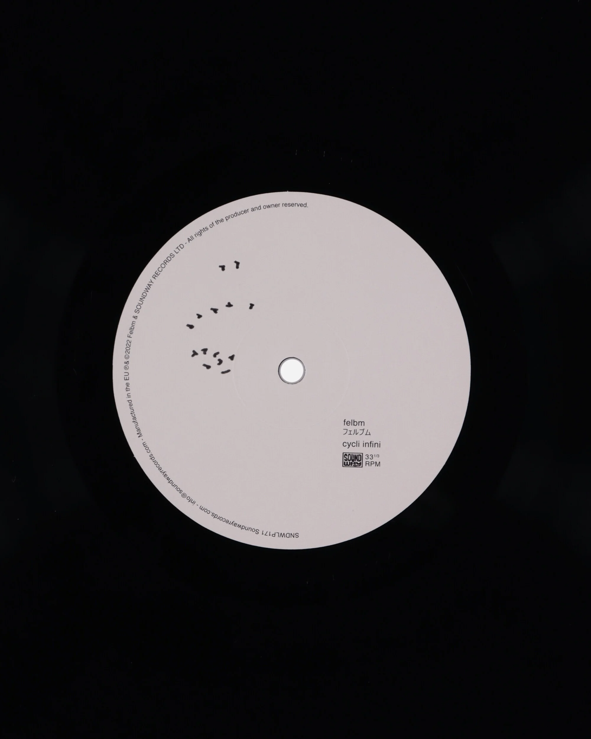Cycli Infini Vinyl - Image 7