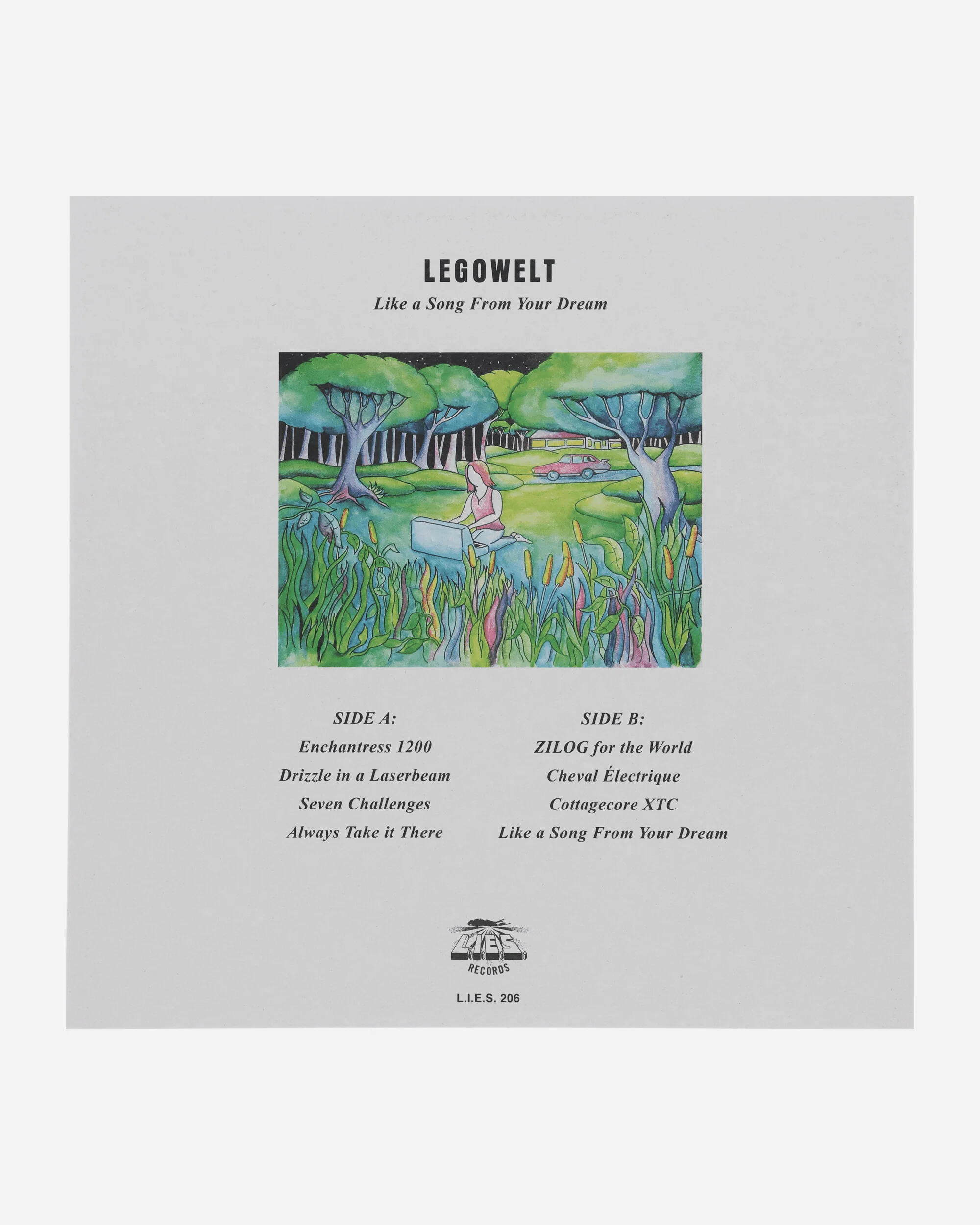 Like A Song From Your Dream Vinyl - Image 2