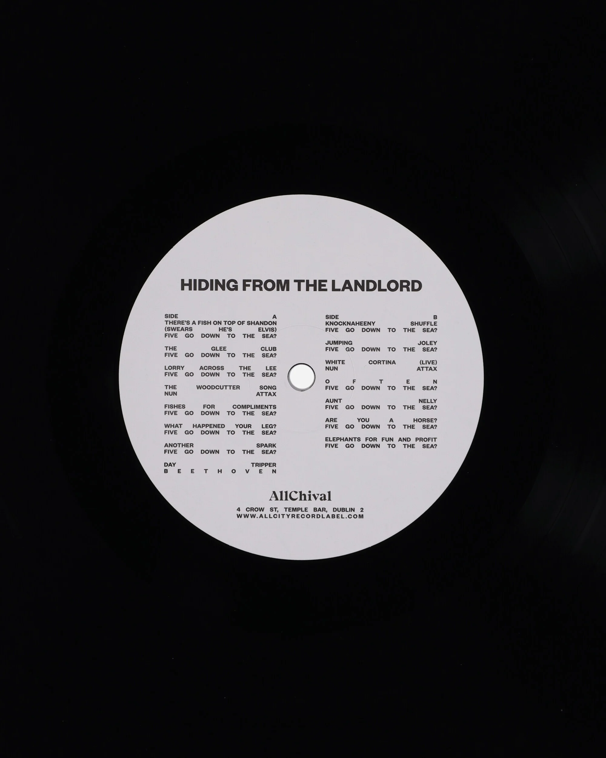 Hiding From The Landlord Vinyl - Image 9