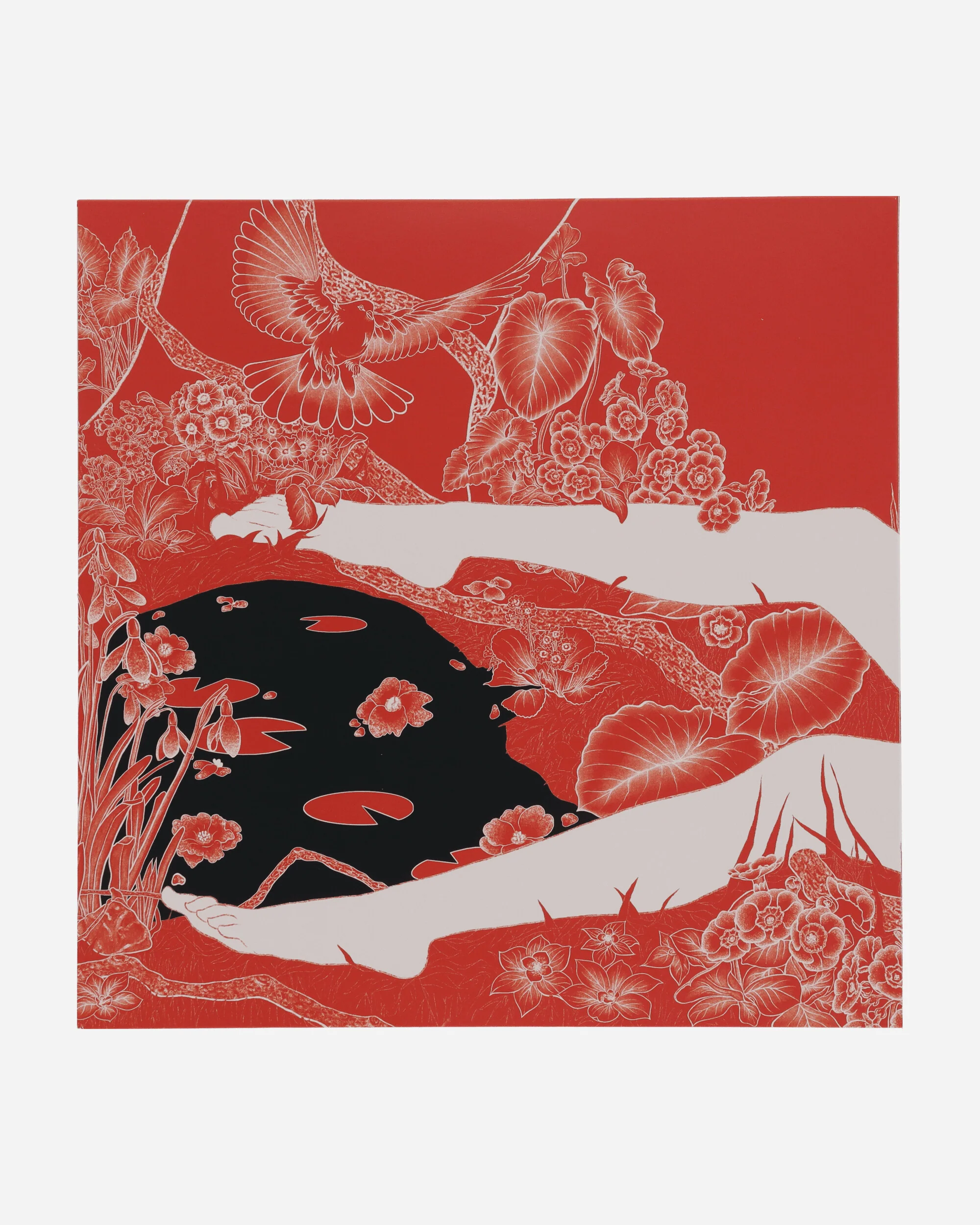 Nosthaigia Vinyl - Image 2