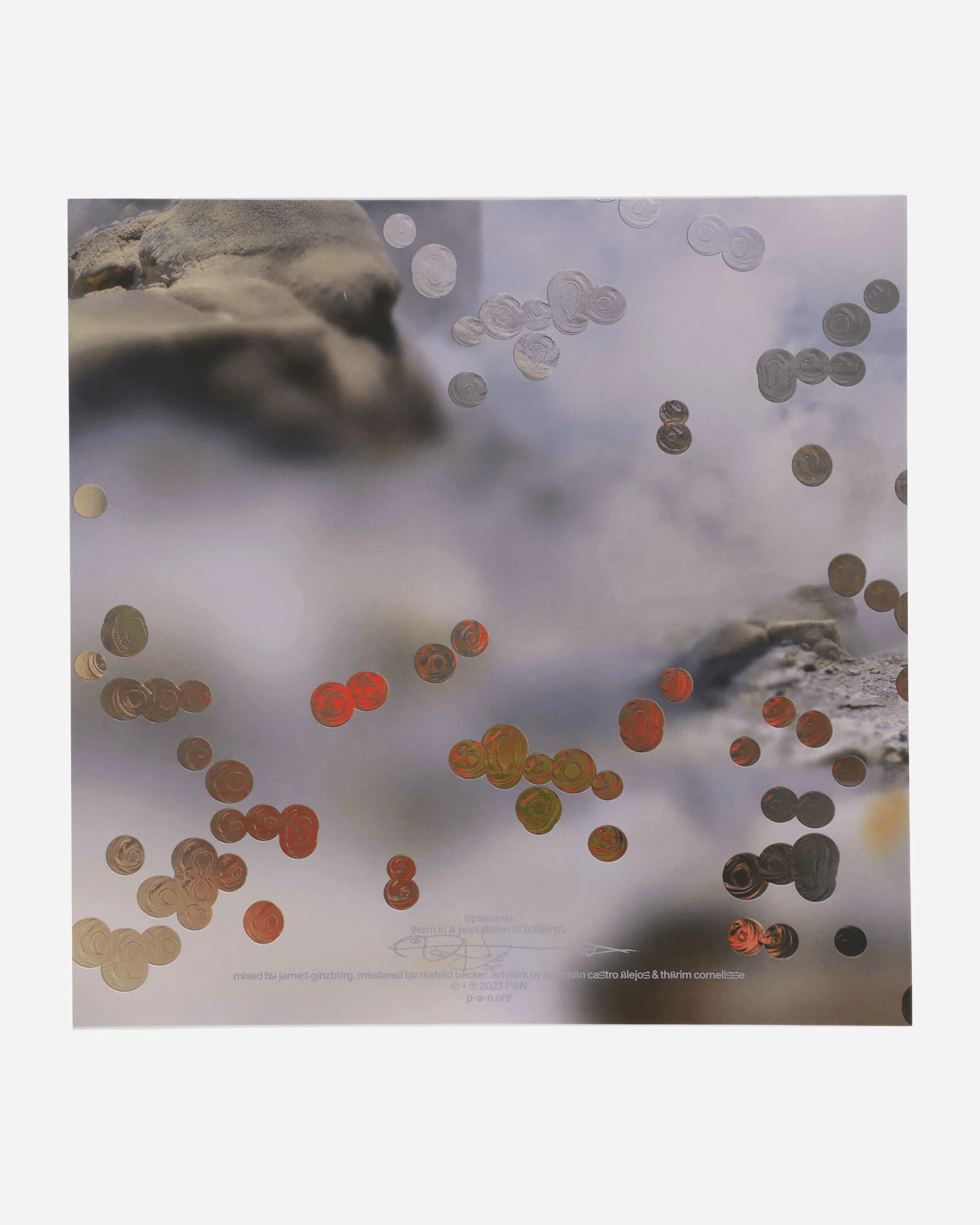 Germ In A Population Of Buildings Vinyl - Image 2
