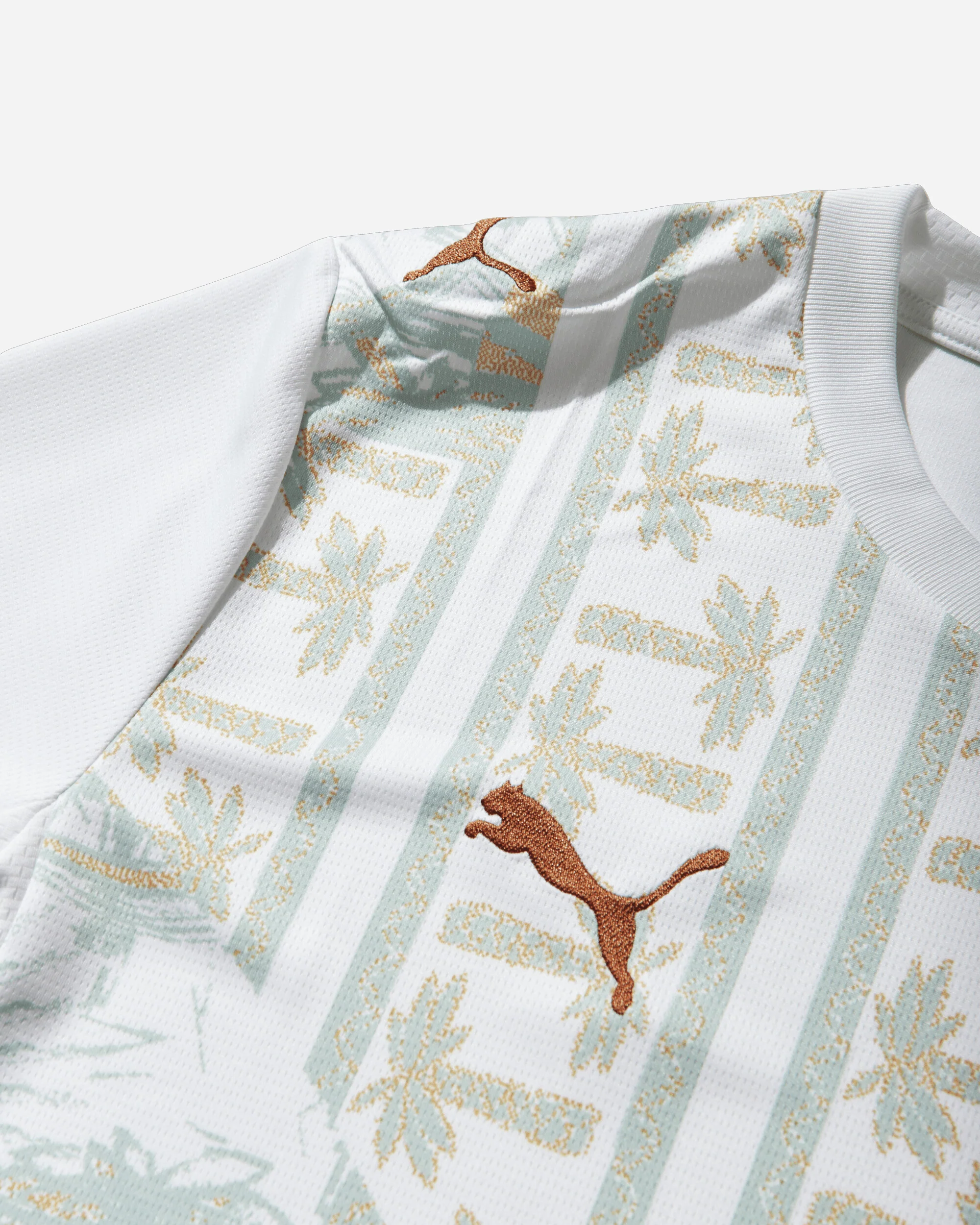 Men's Côte d'Ivoire 2026 Away Jersey White / Warm Chestnut - Image 4