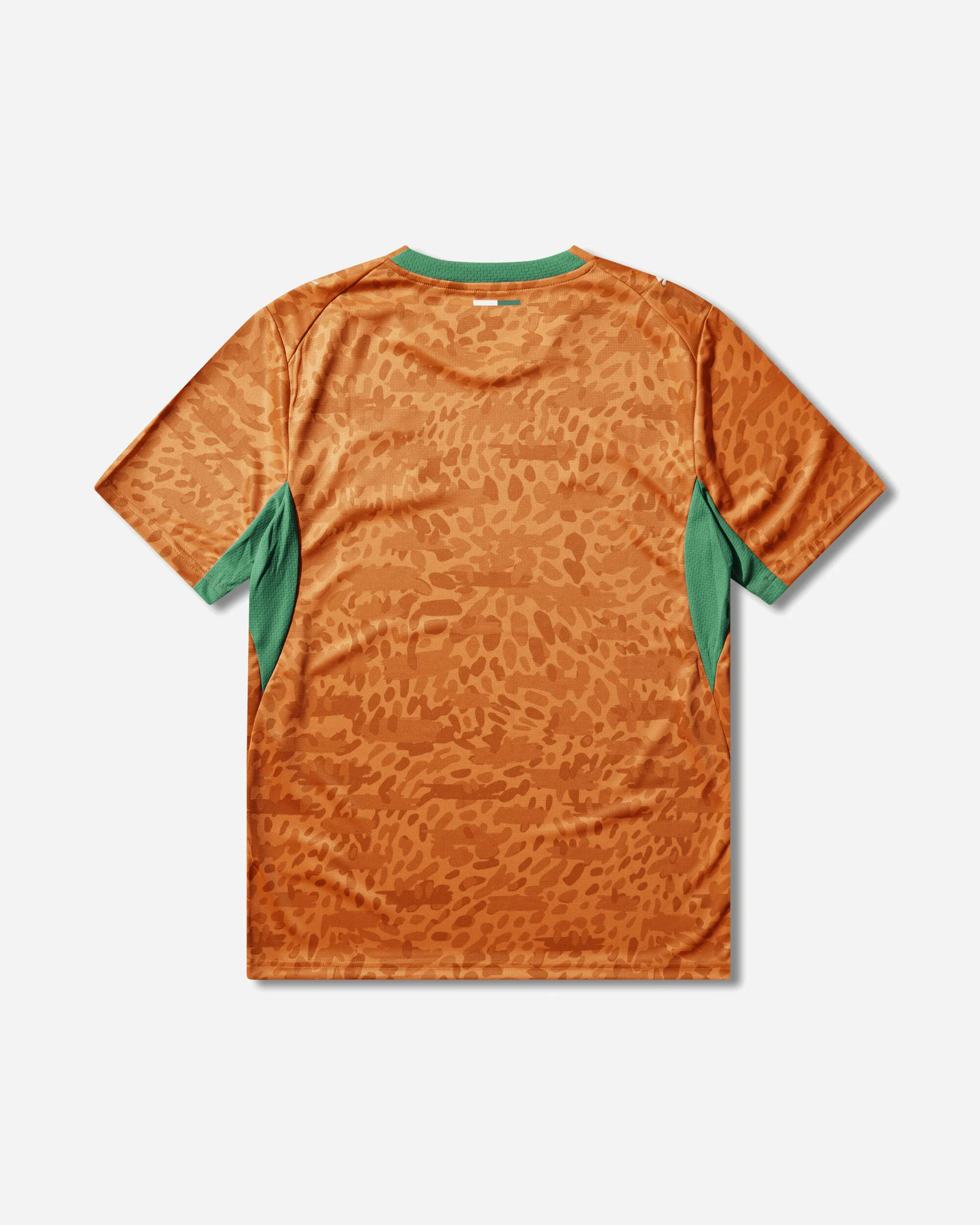 Men's Côte d'Ivoire 2026 Home Jersey Rickie Orange / Sport Green - Image 2