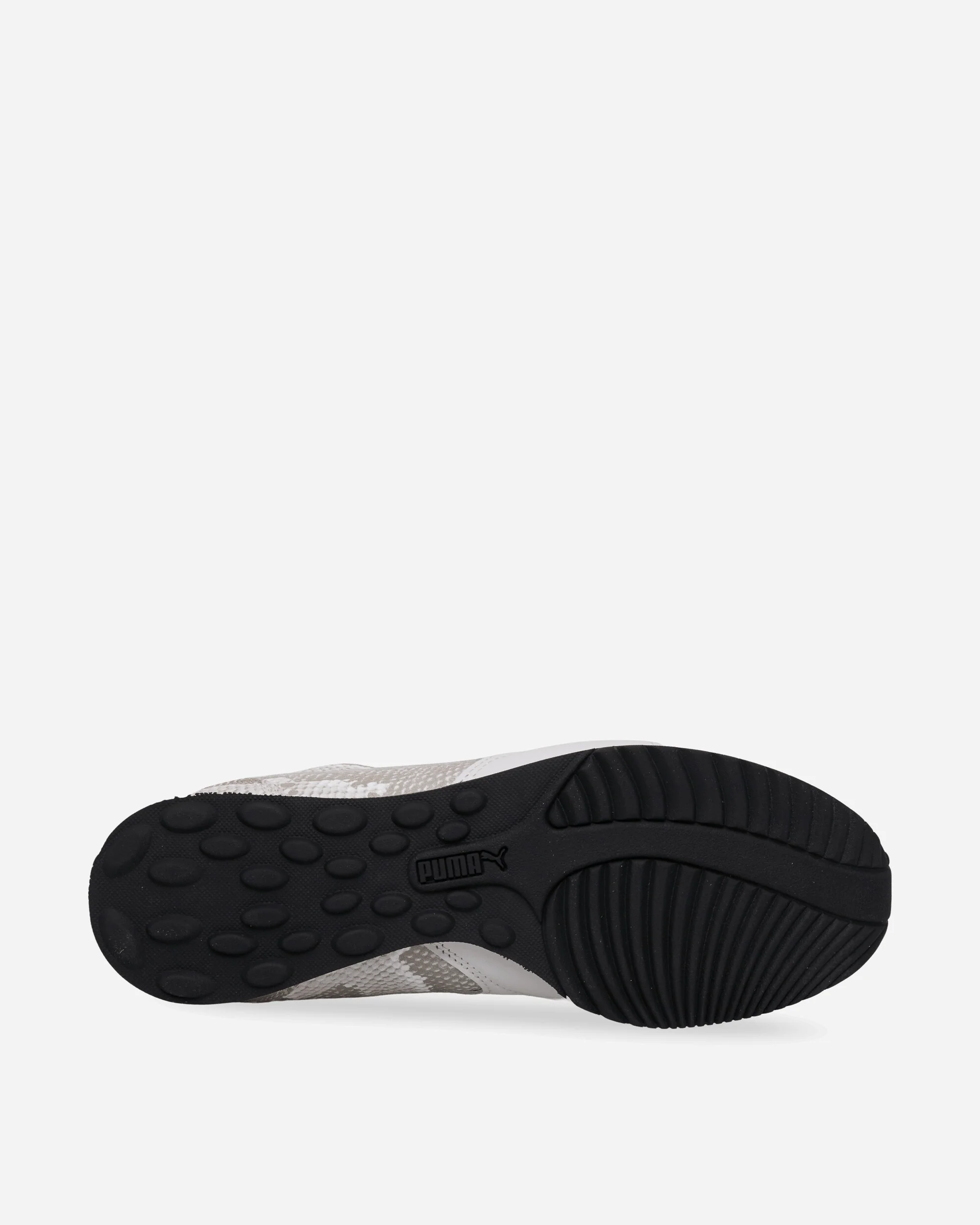 Sprint Snake Sneakers Vapor Gray / Feather Gray - Image 5