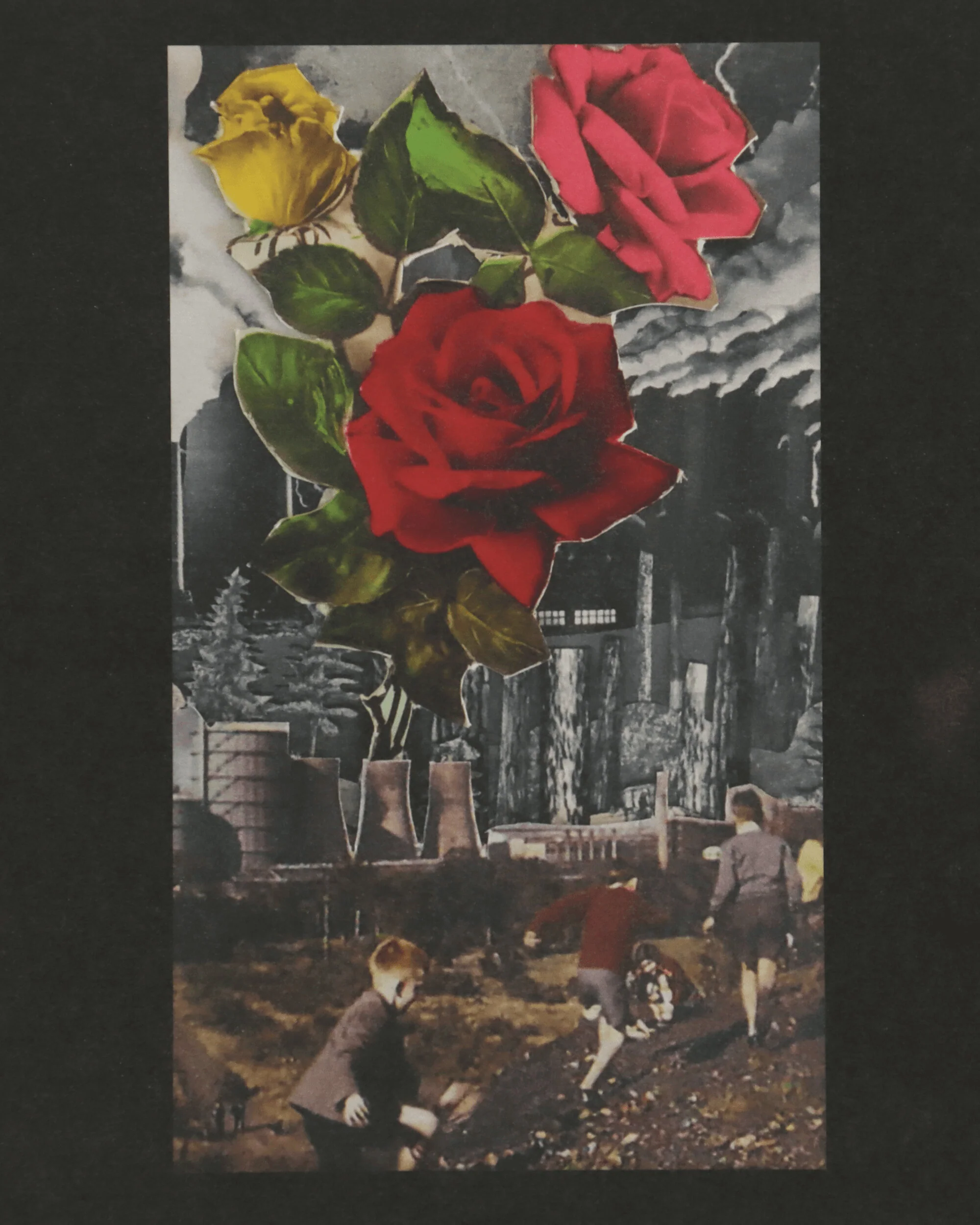 Women's Hour - Women's Hour Vinyl - Image 6