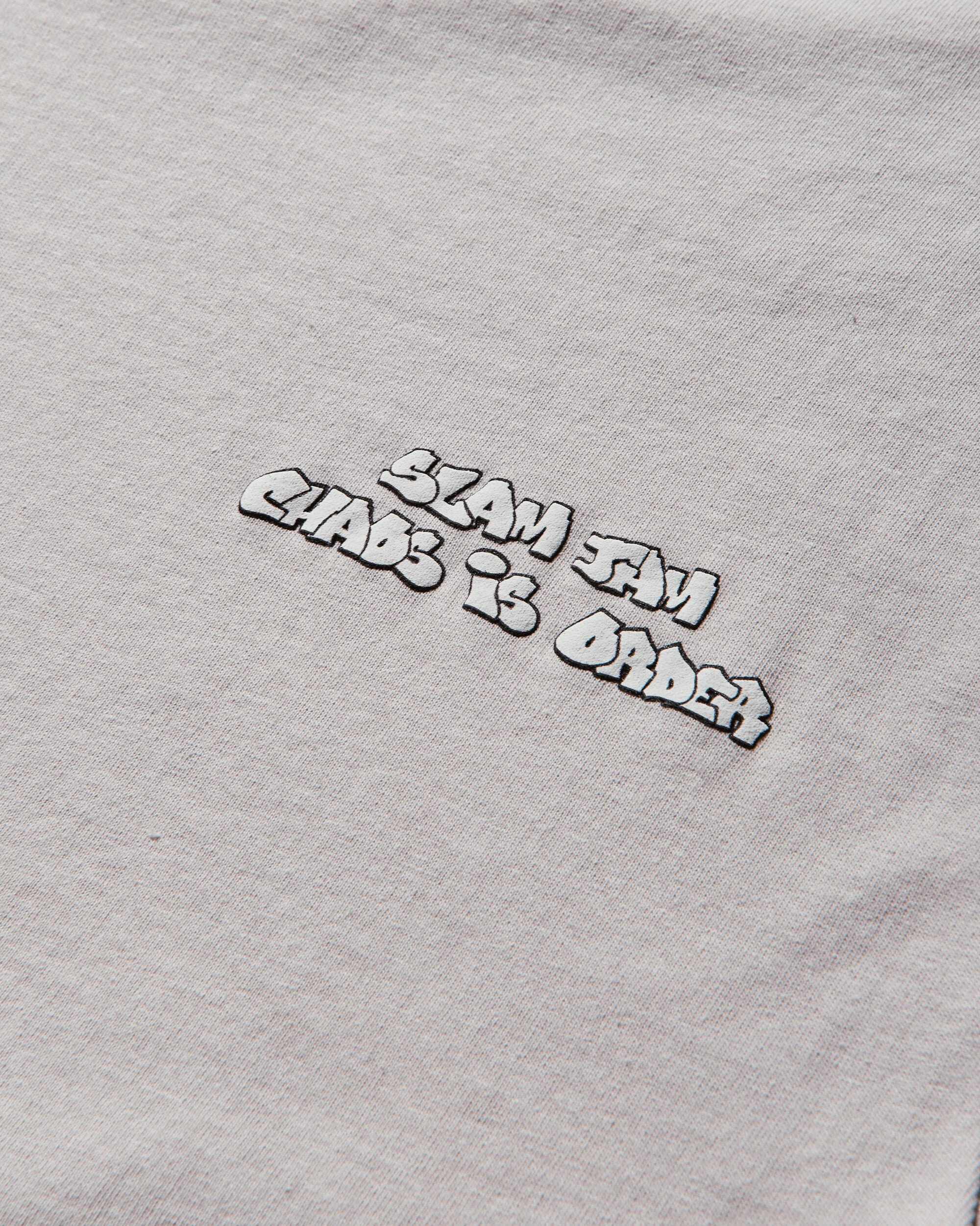 Andre Thompson T-Shirt Grey - Image 5