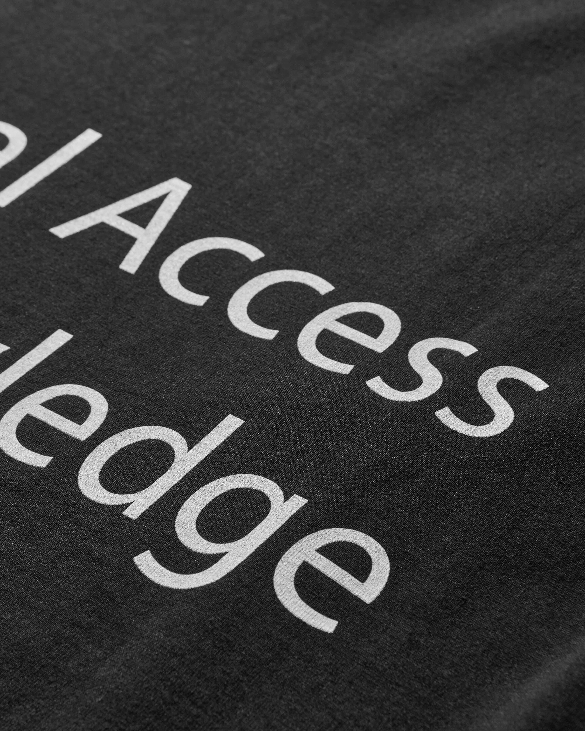 Temple T-Shirt Black - Image 3
