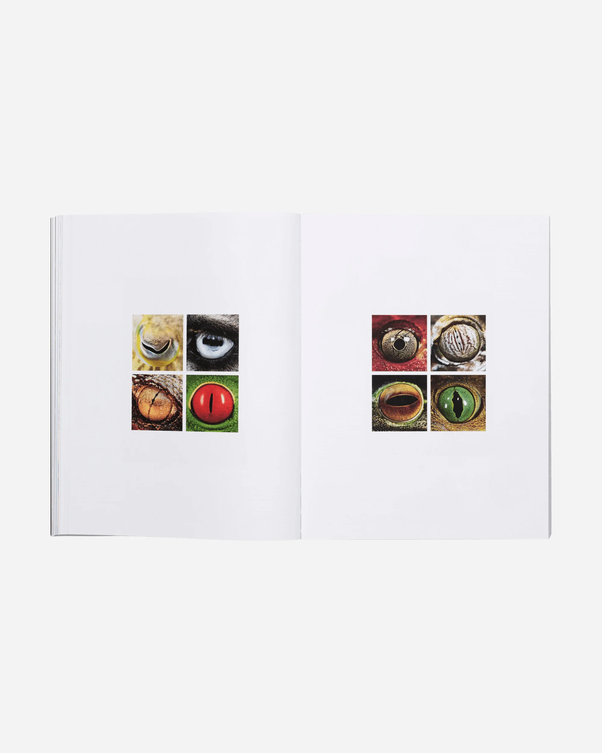 ADDPMP Vol. II Book Black - Image 2