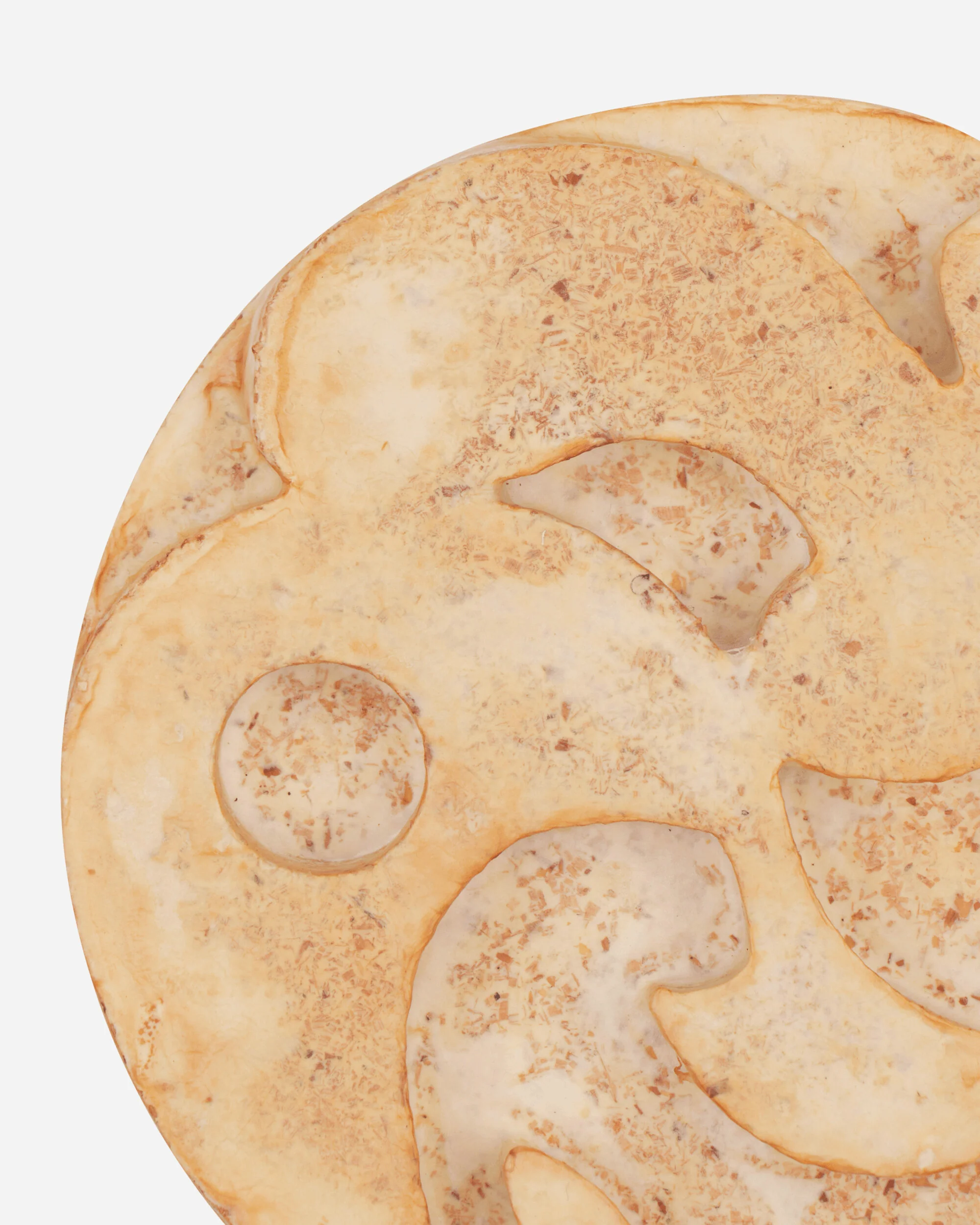 Mycelium Dualism Desk Object Natural - Image 4