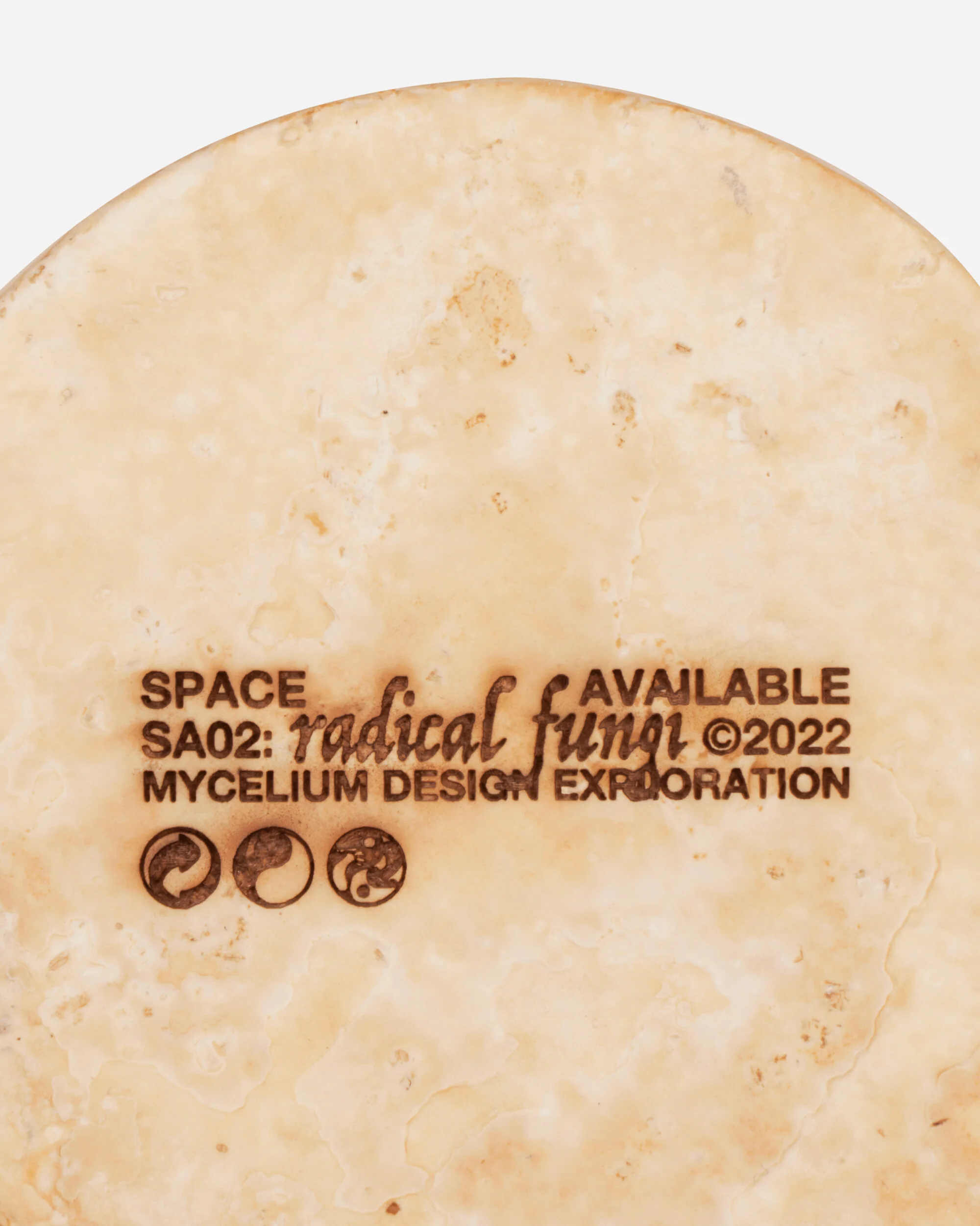 Mycelium Dualism Desk Object Natural - Image 5