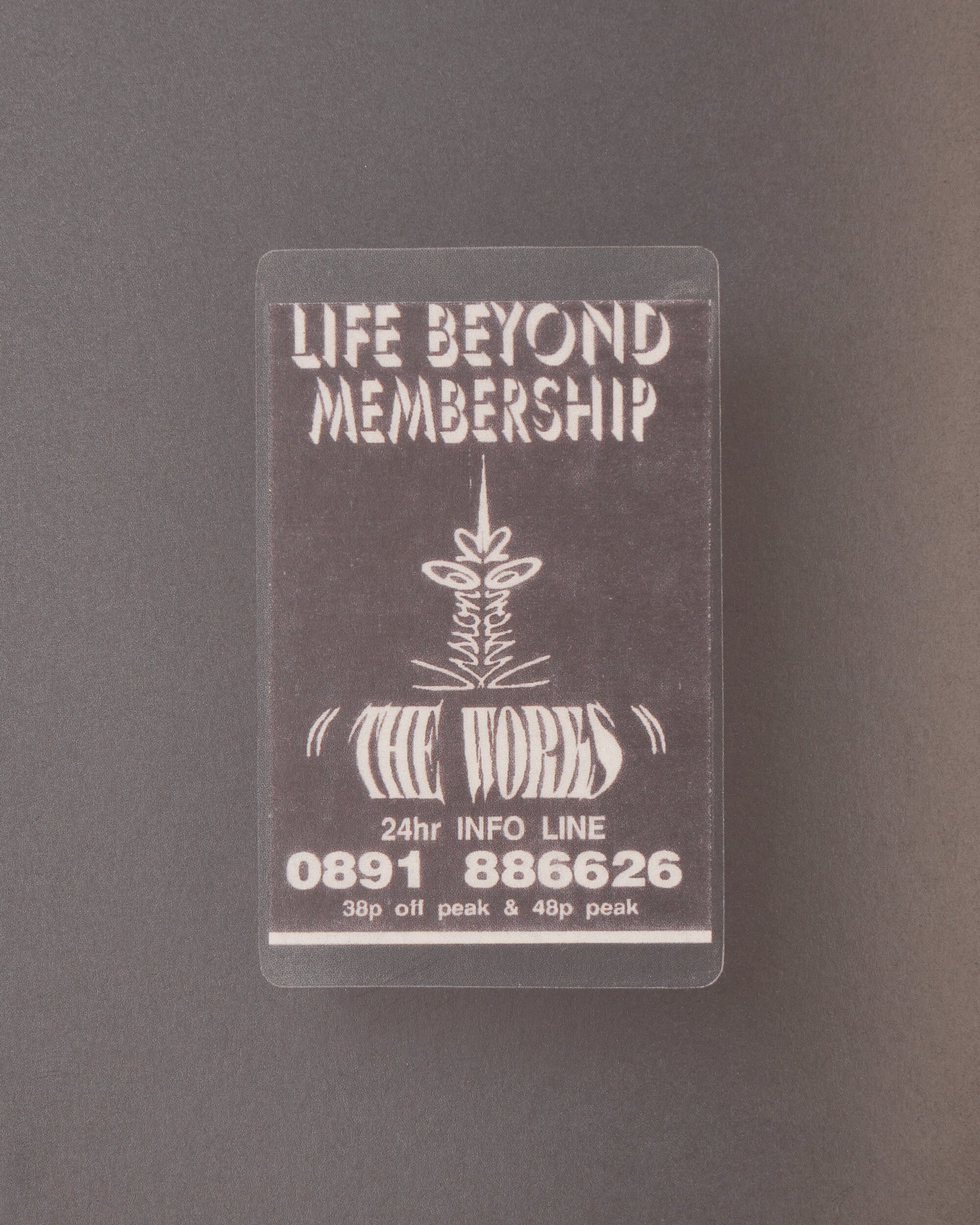Members Only Book Multicolor - Image 6