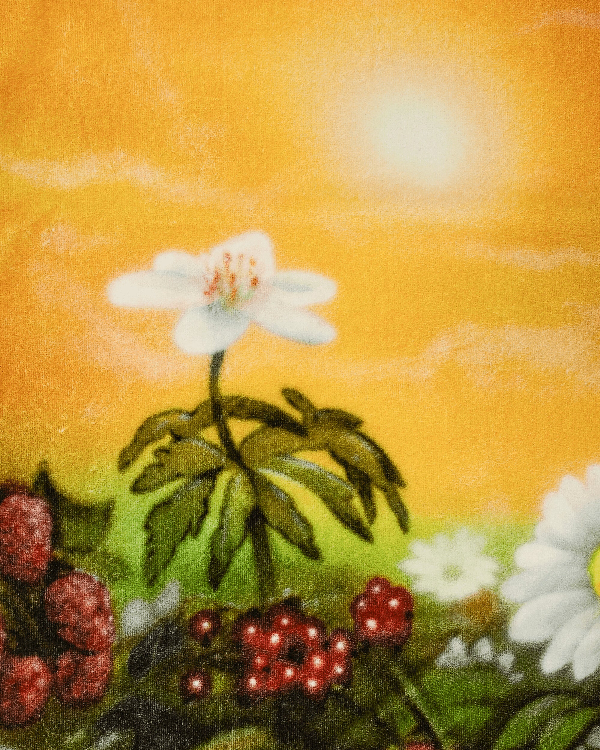 Airbrush Flowers Beach Towel Multicolor - Image 3