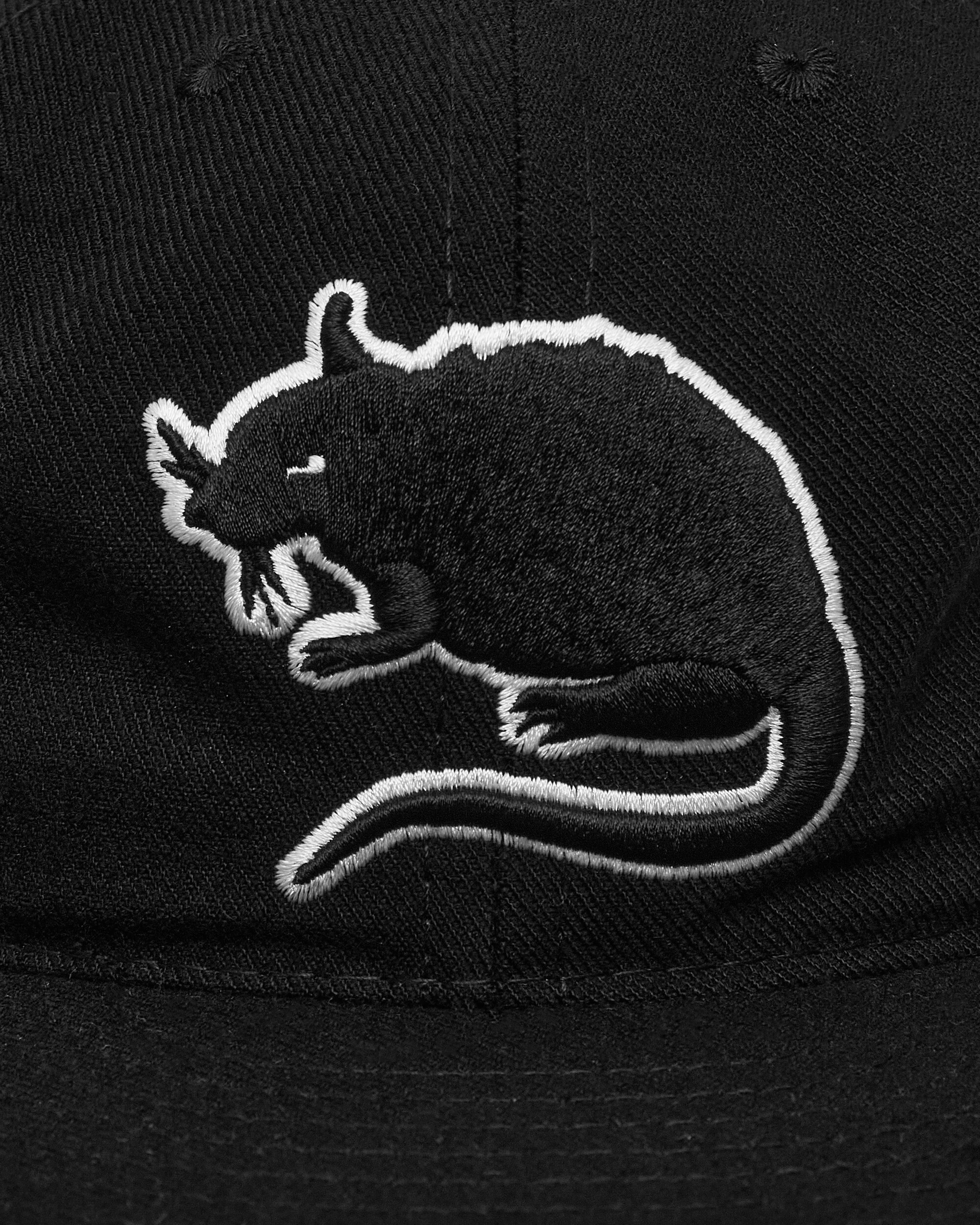 Rat Logo Fitted Hat Black - Image 6