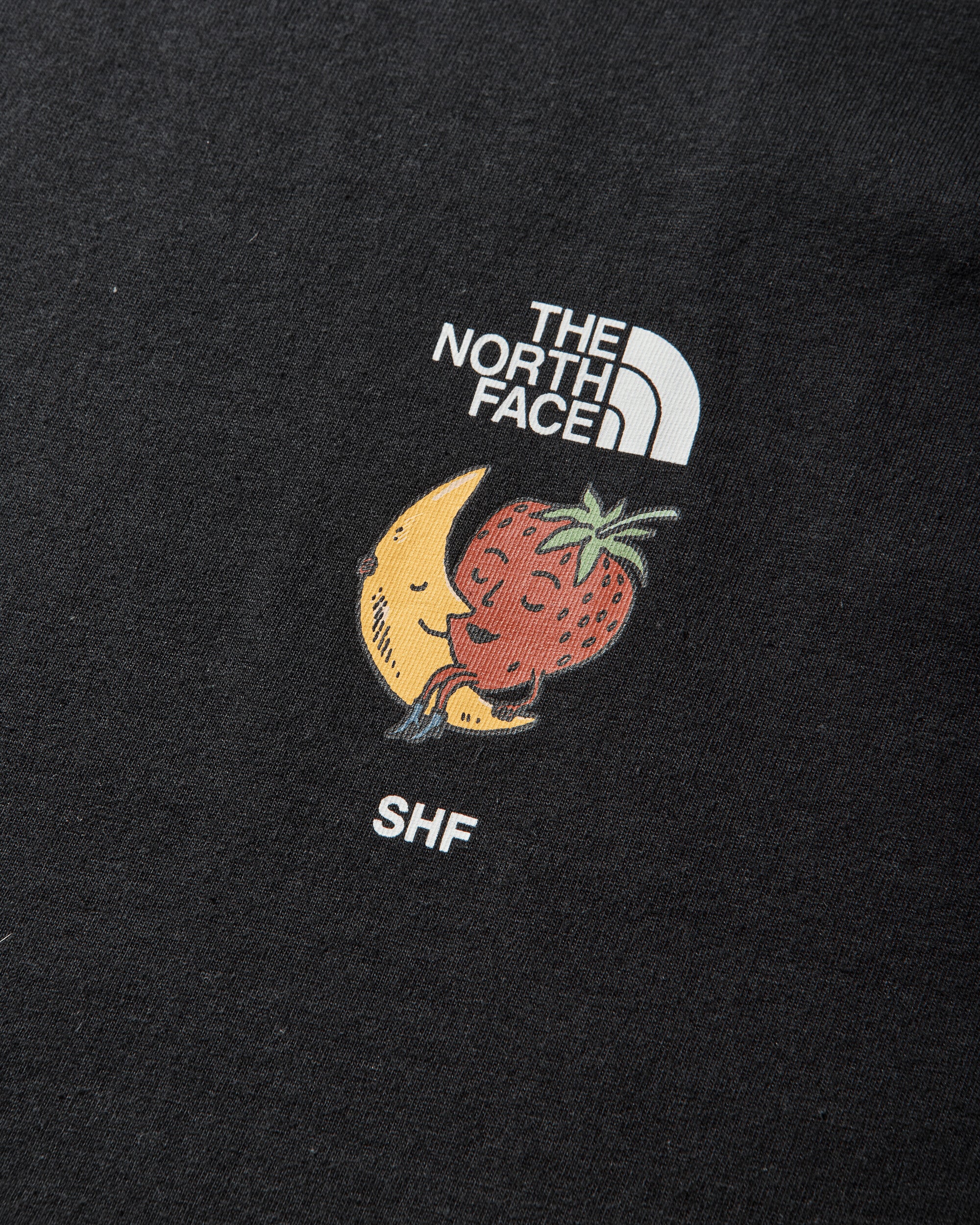 Sky High Farm Goods T-Shirt Black - Image 4