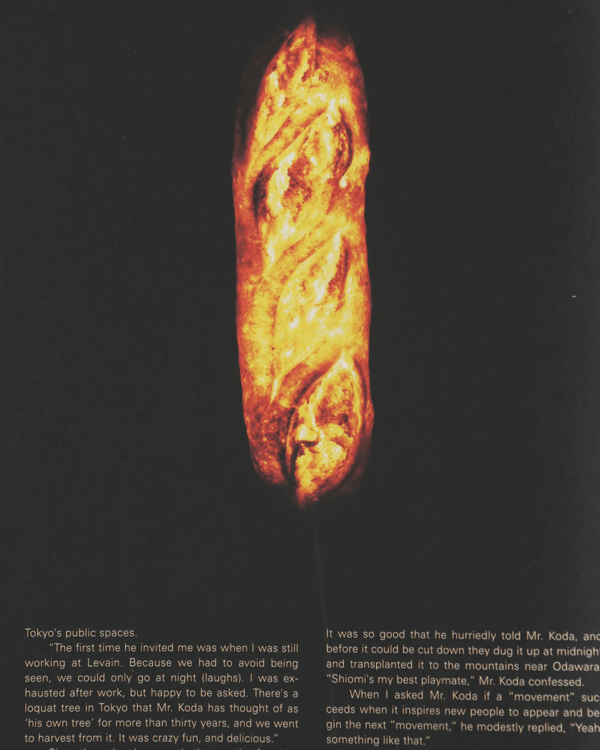 Subsequence Vol. 8 Magazine - Image 5